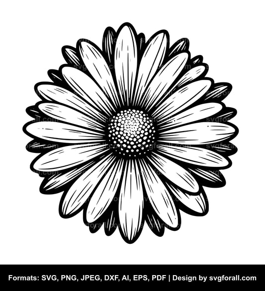 Daisy Flower Clipart SVG