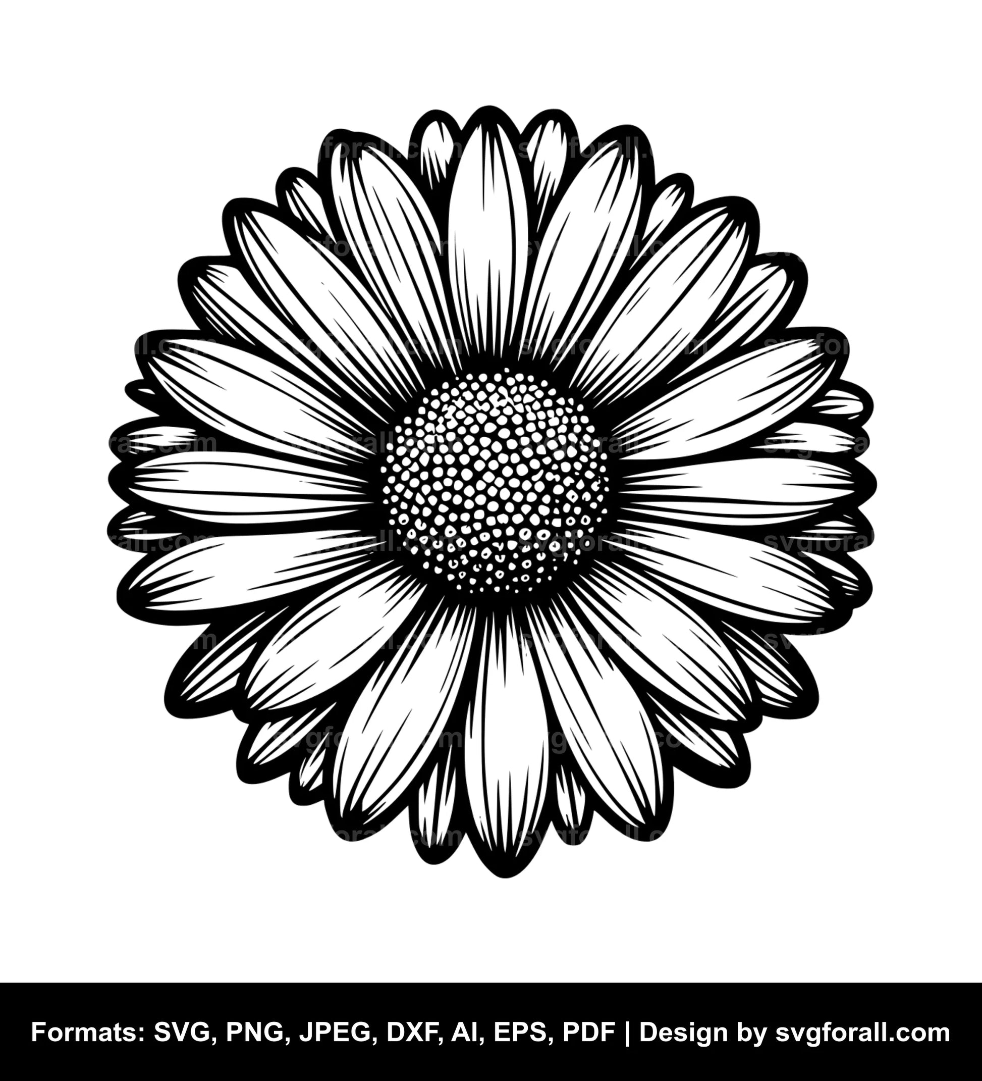 Daisy Flower Cricut SVG