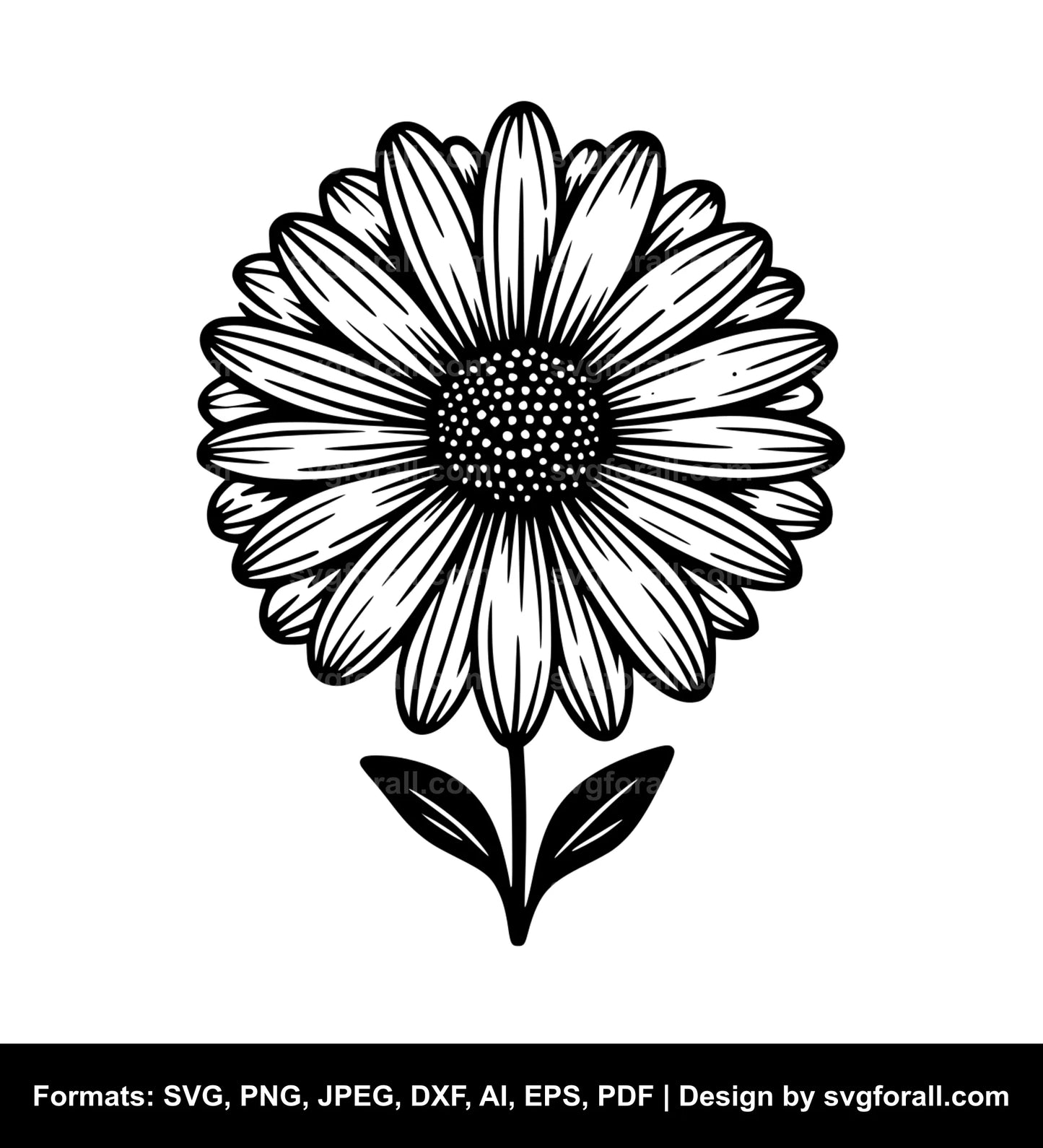 Daisy Flower SVG Design