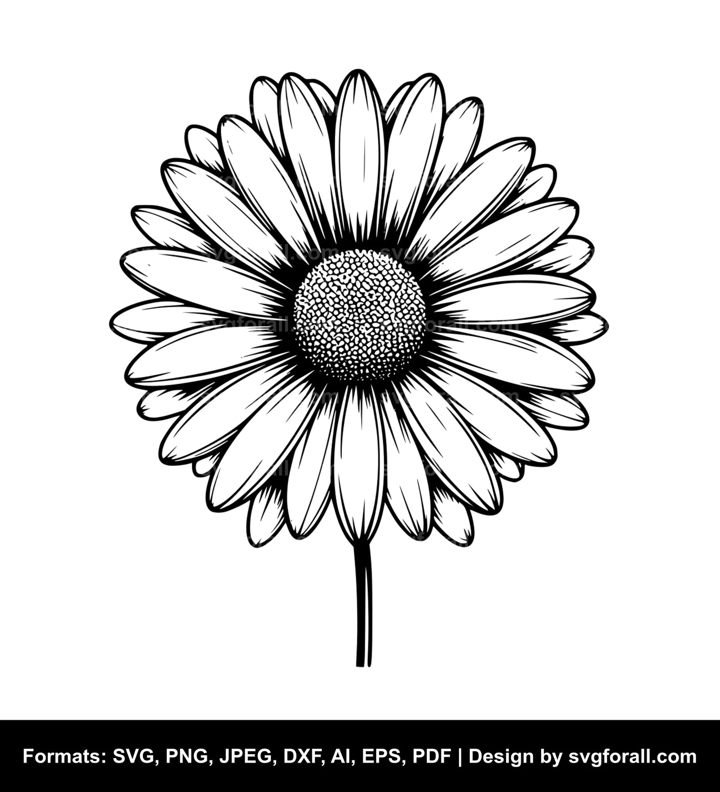 Daisy Flower SVG Download