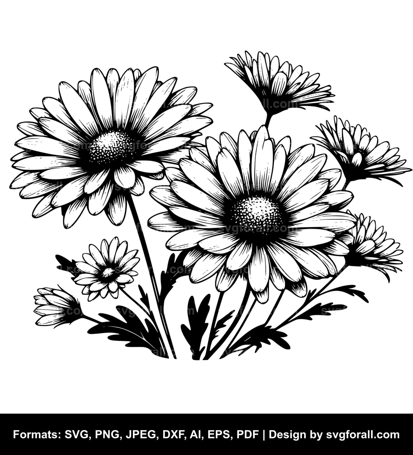 Daisy Flower SVG File