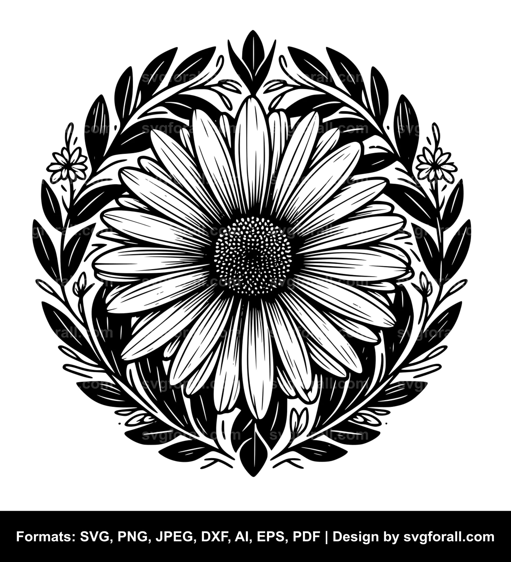 Daisy Flower SVG PNG