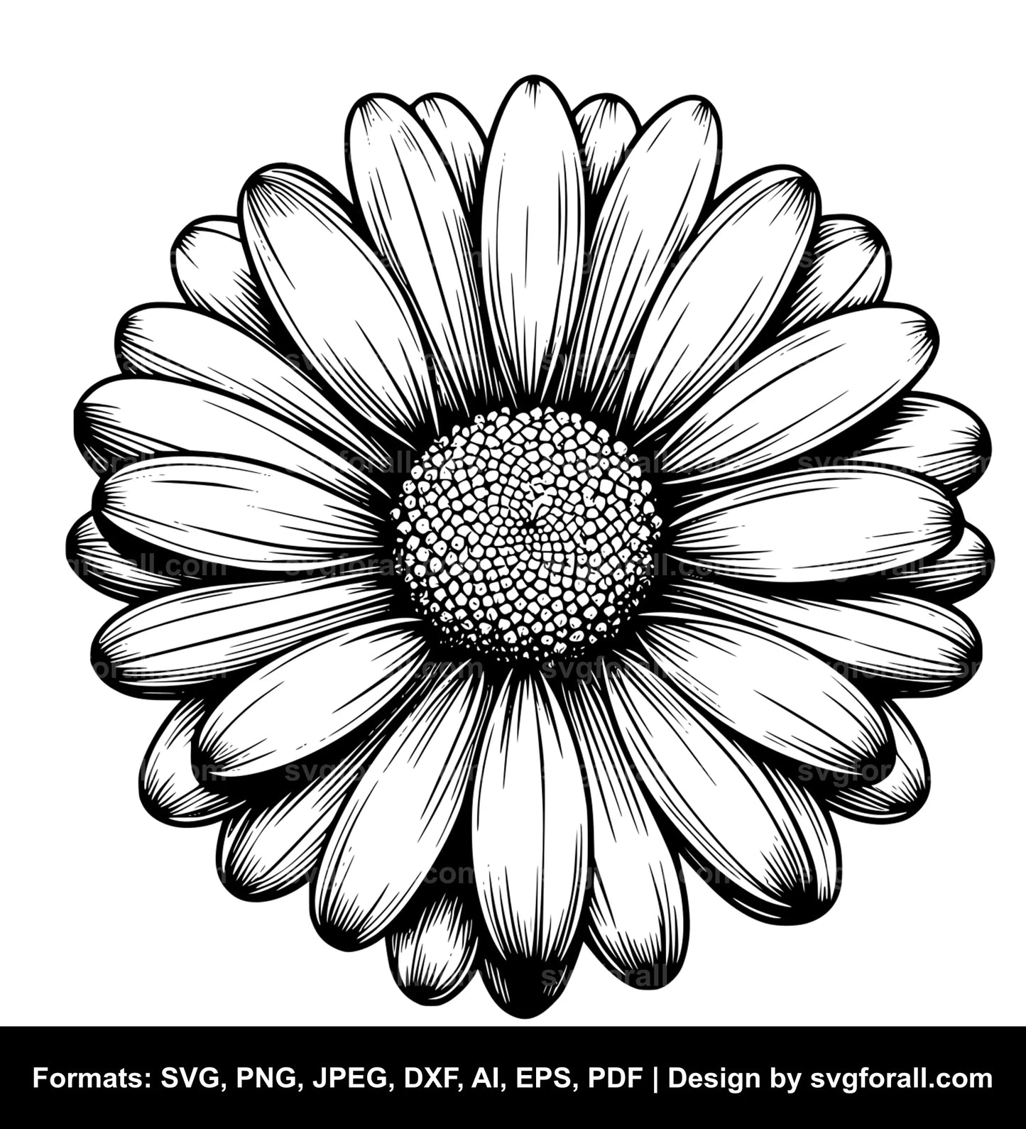 Daisy Flower SVG Vector