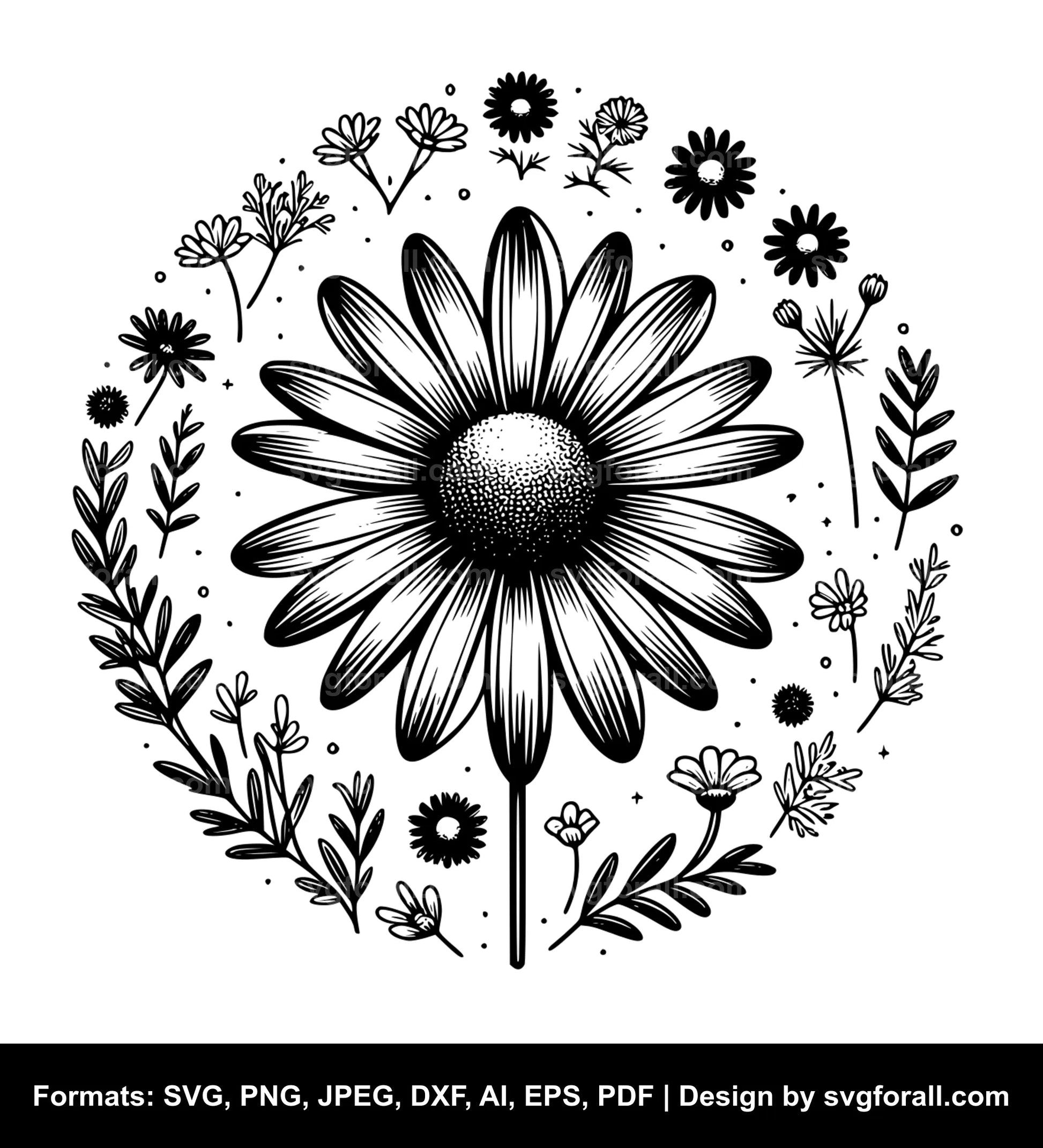 Daisy Flower Vector SVG