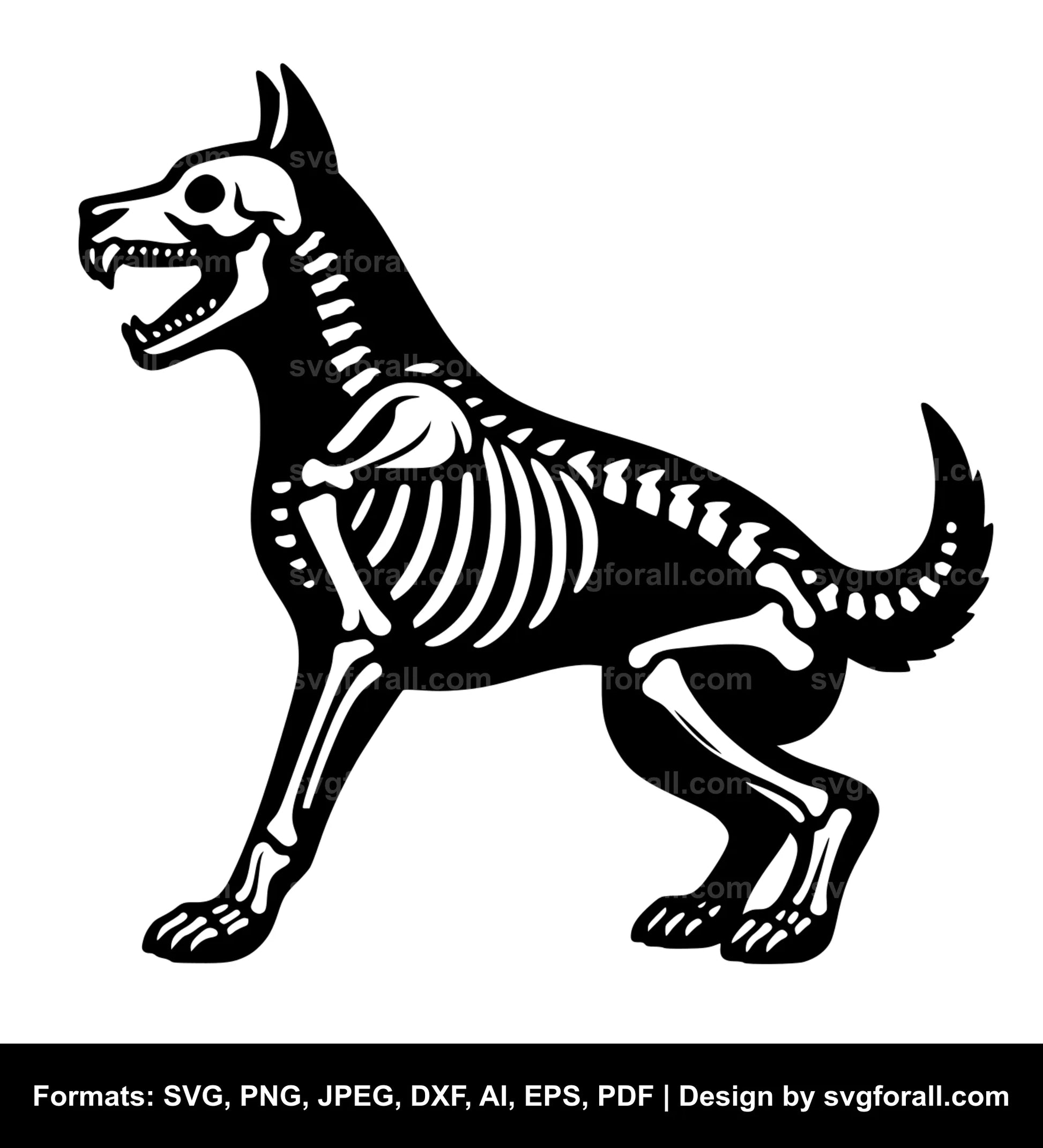 Dog Skeleton Vector SVG