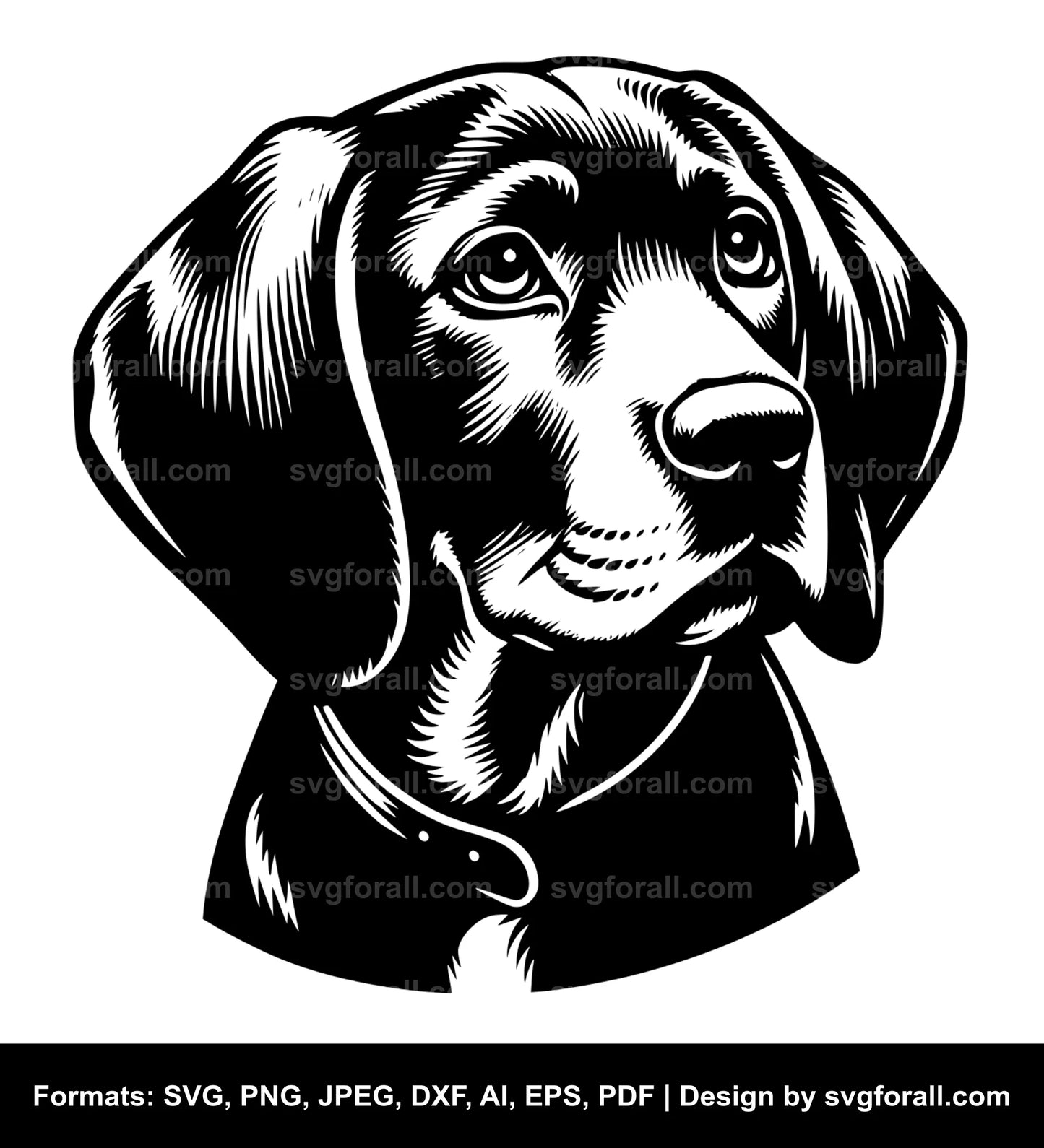 Dog With Floppy Ear Cricut SVG