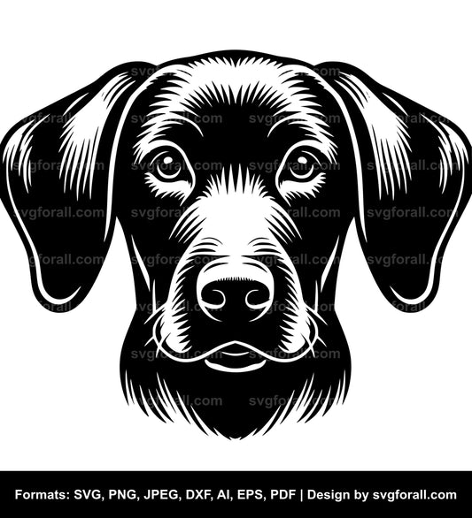 Dog With Floppy Ear SVG Clipart