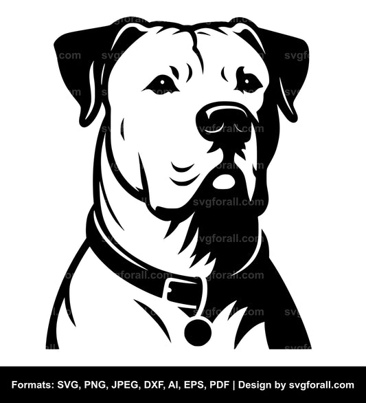 Dogo Argentino Dog SVG Vector