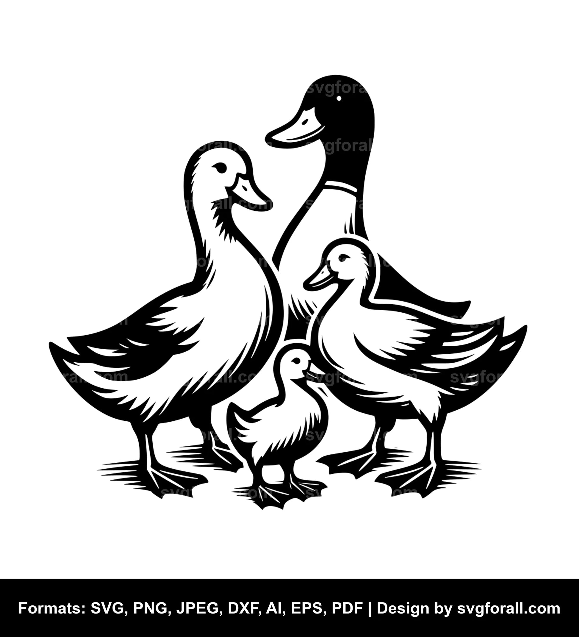 Duck Family SVG