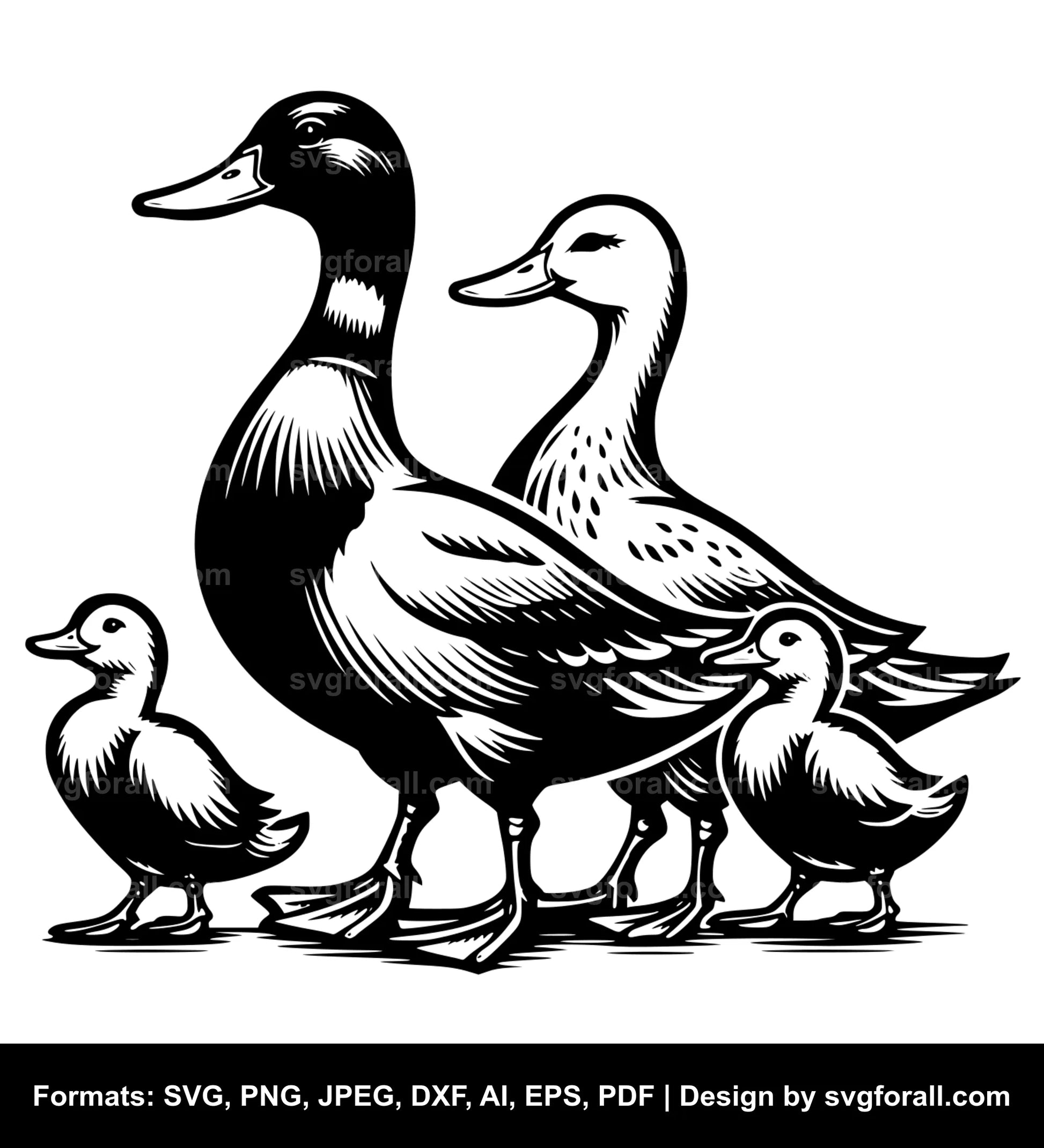 Duck Family SVG PNG