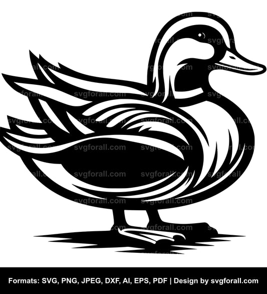 Duck SVG PNG