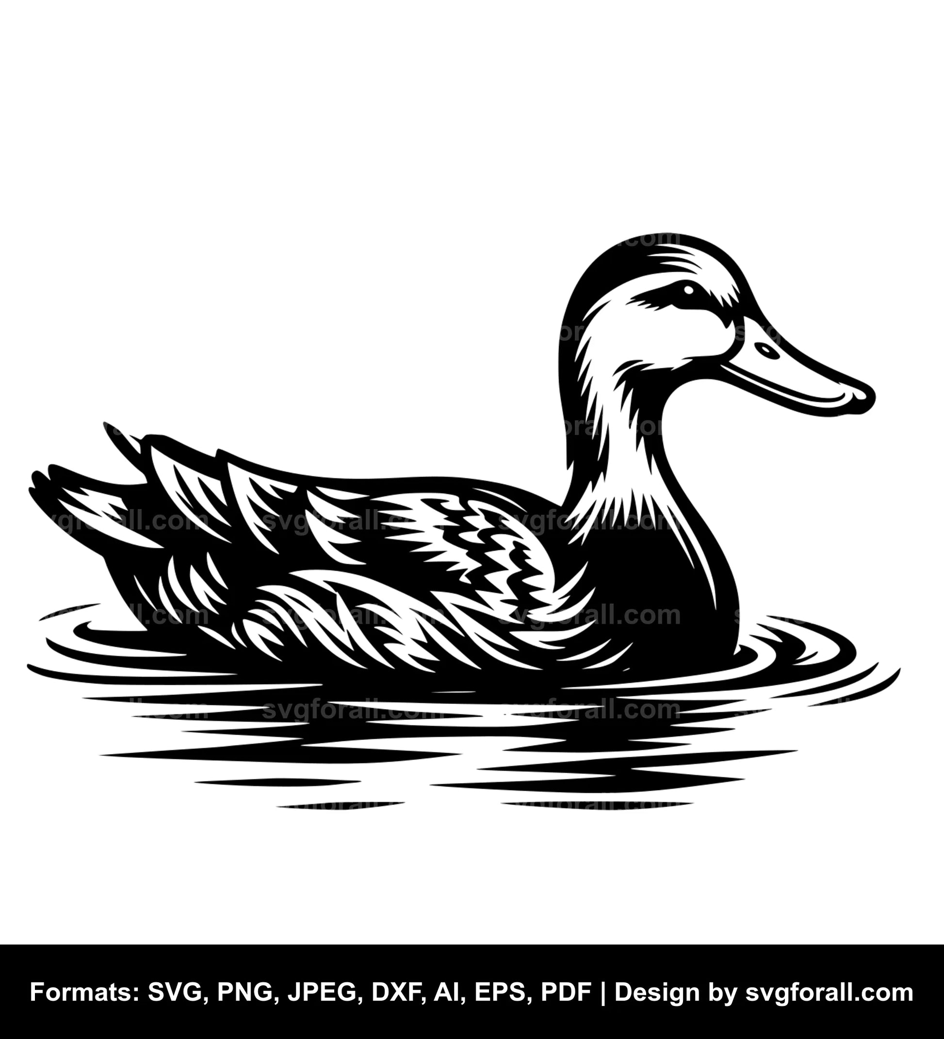 Duck Swimming Clipart SVG