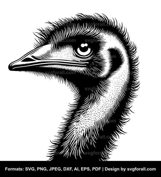 Emu Bird SVG