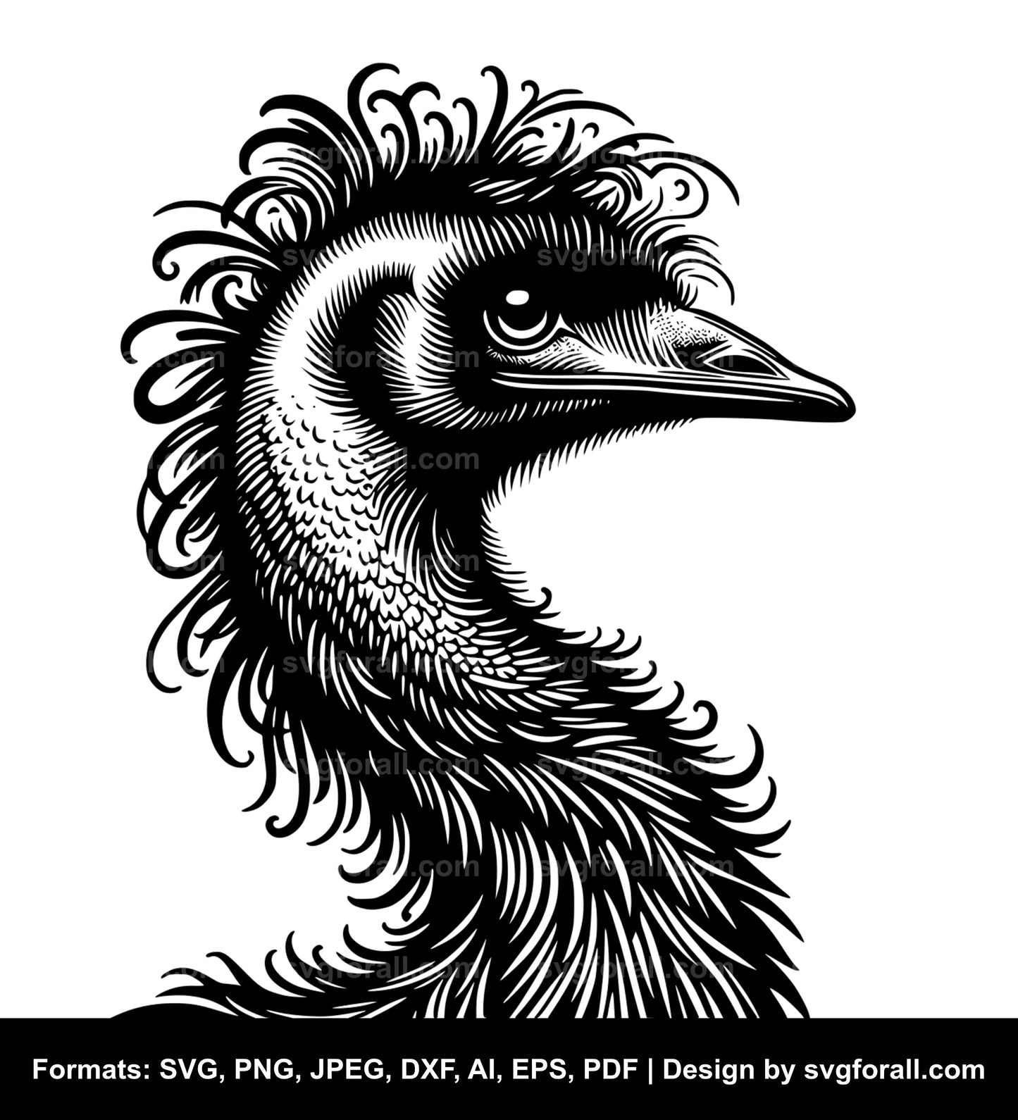 Emu Bird SVG File