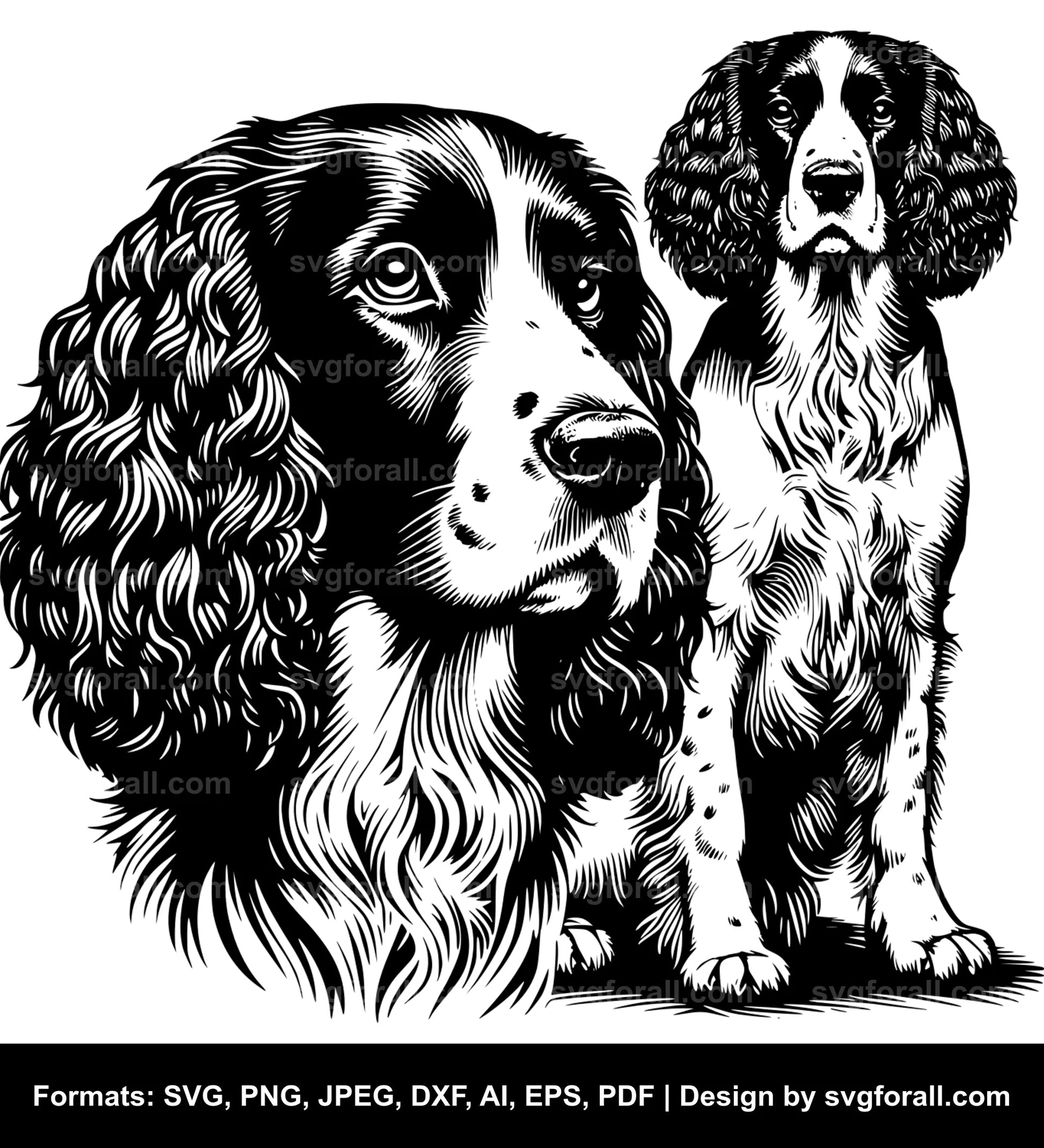 English Springer Spaniel Dog Cricut SVG