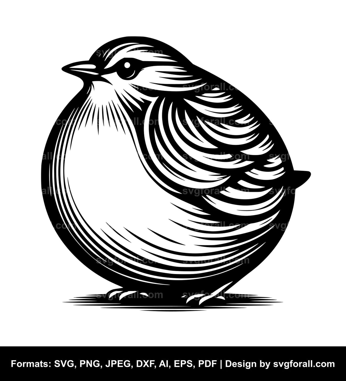 Fat Bird Cricut SVG