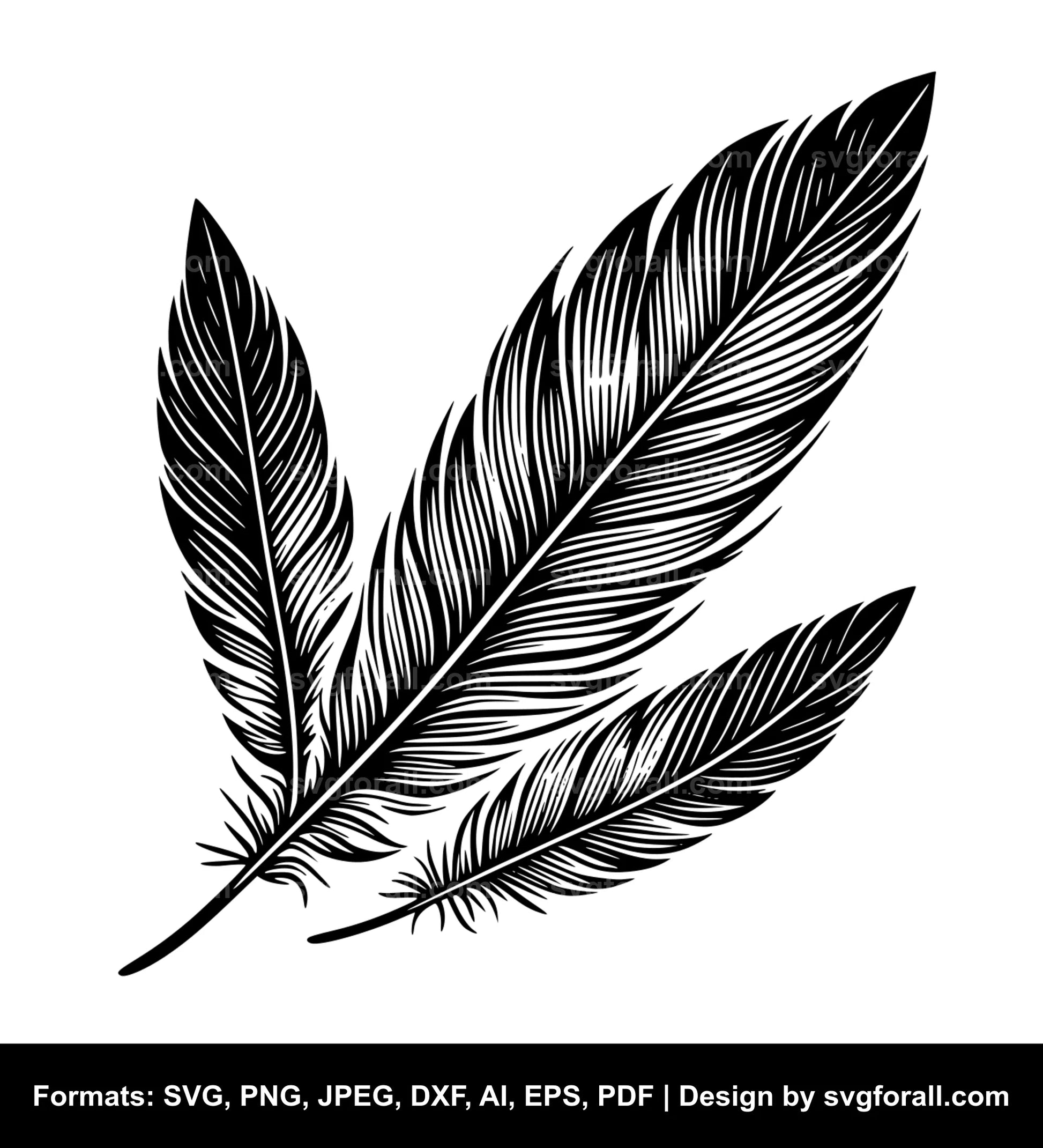 Feather SVG