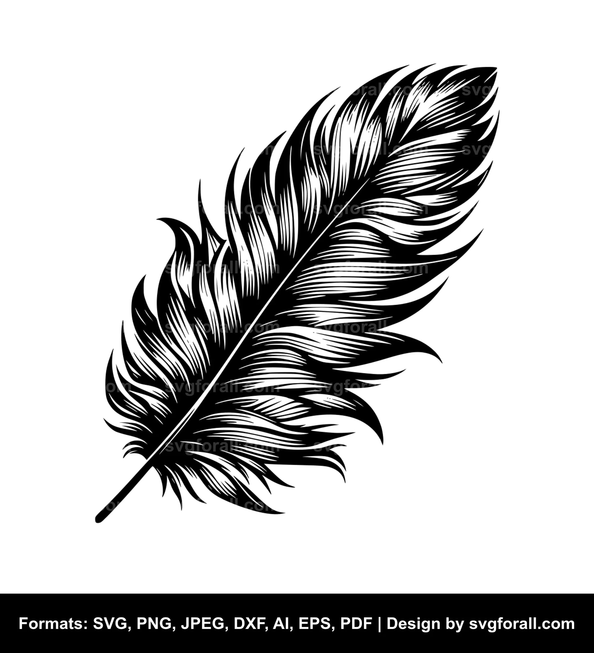 Feather SVG Clipart