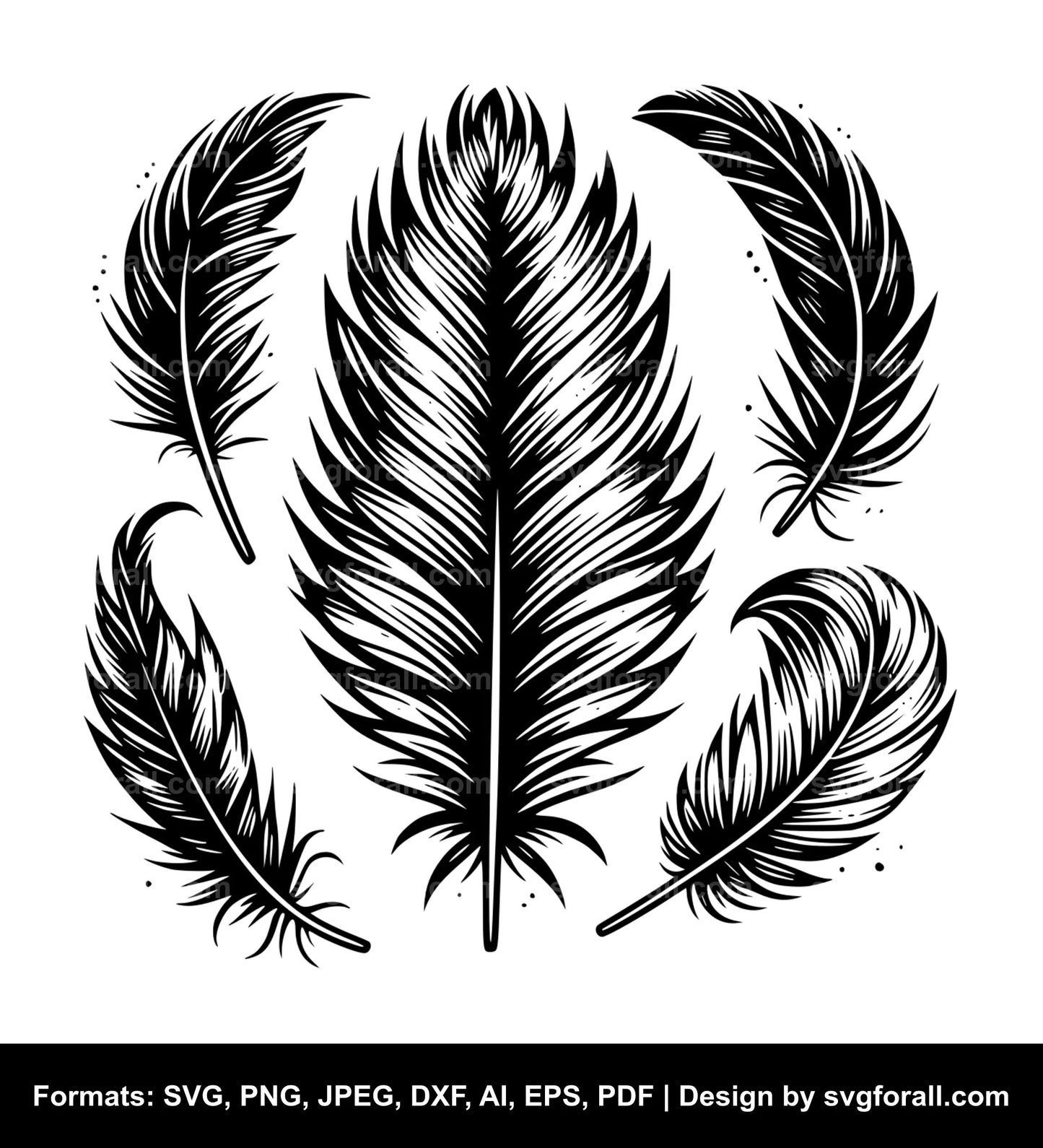 Feather SVG PNG