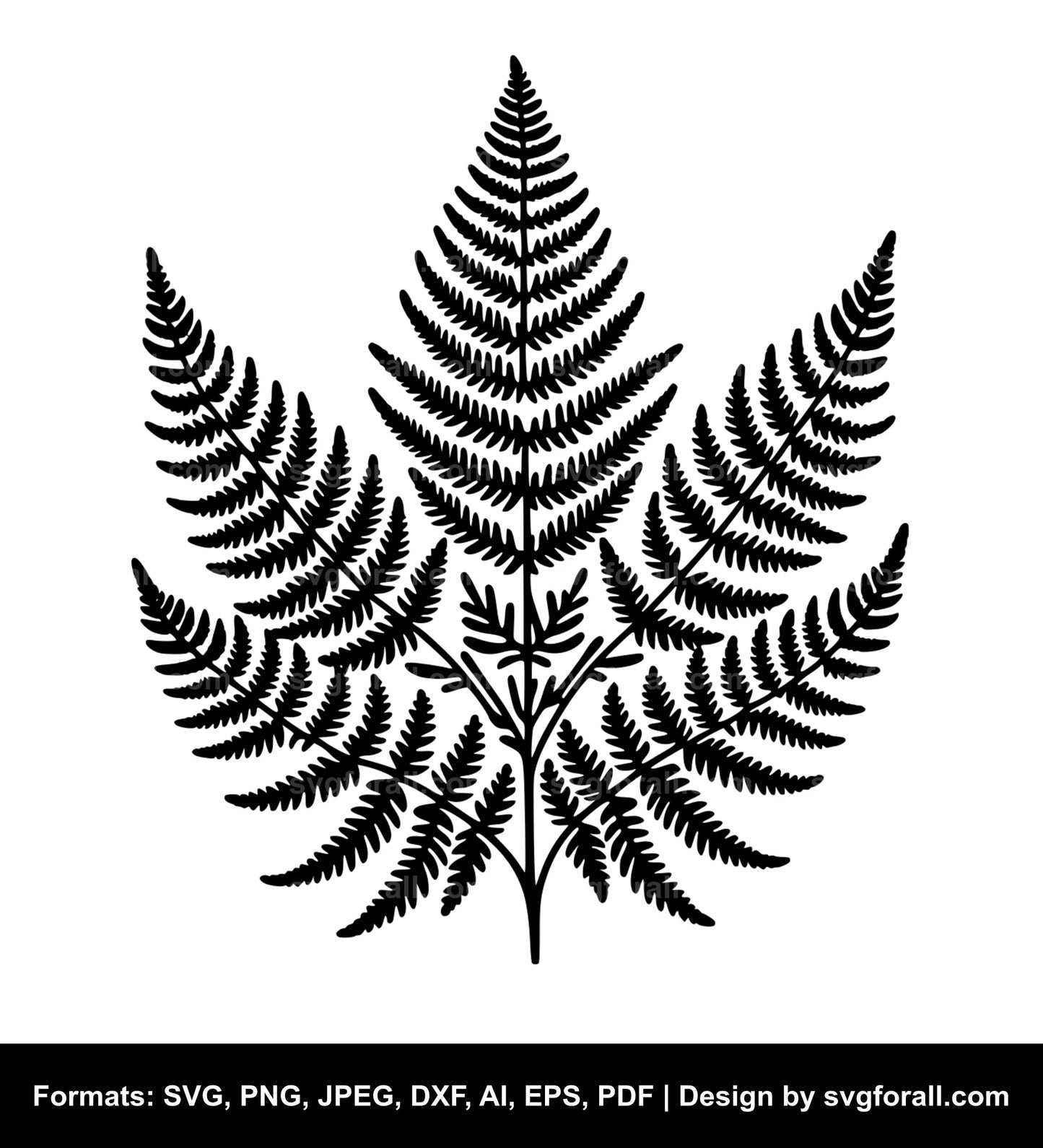 Fern Black SVG