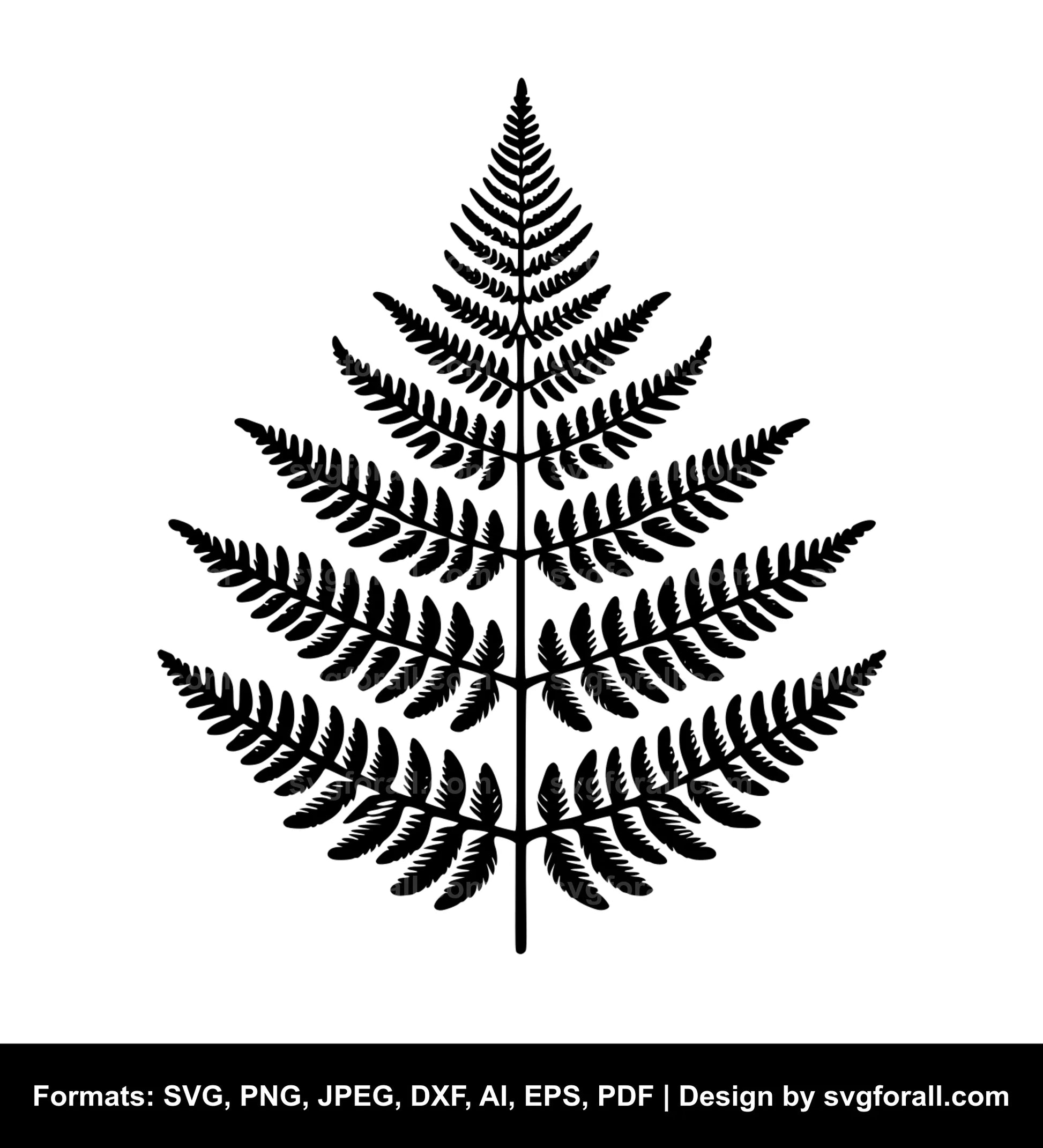 Fern Clipart SVG