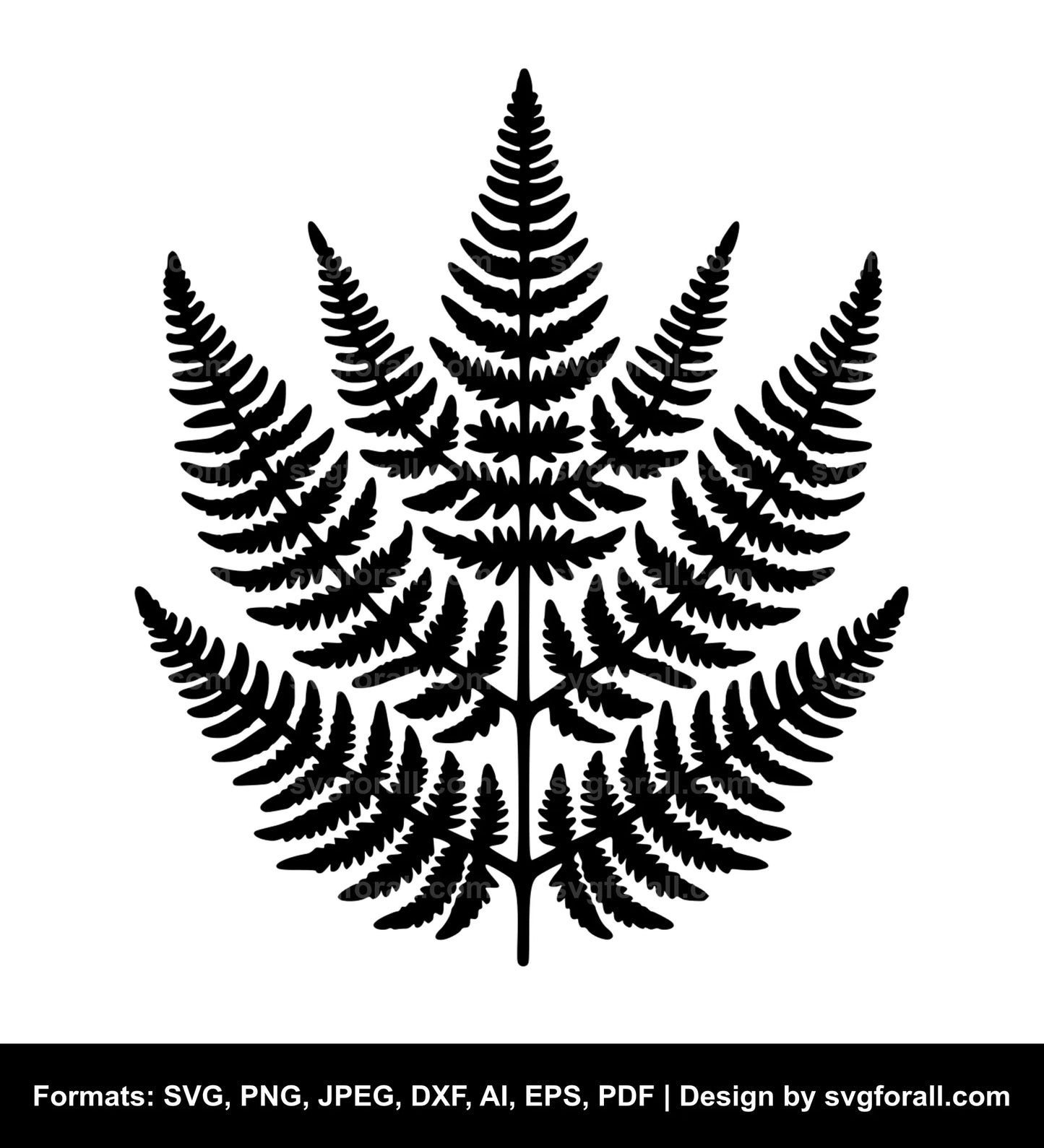 Fern SVG Download