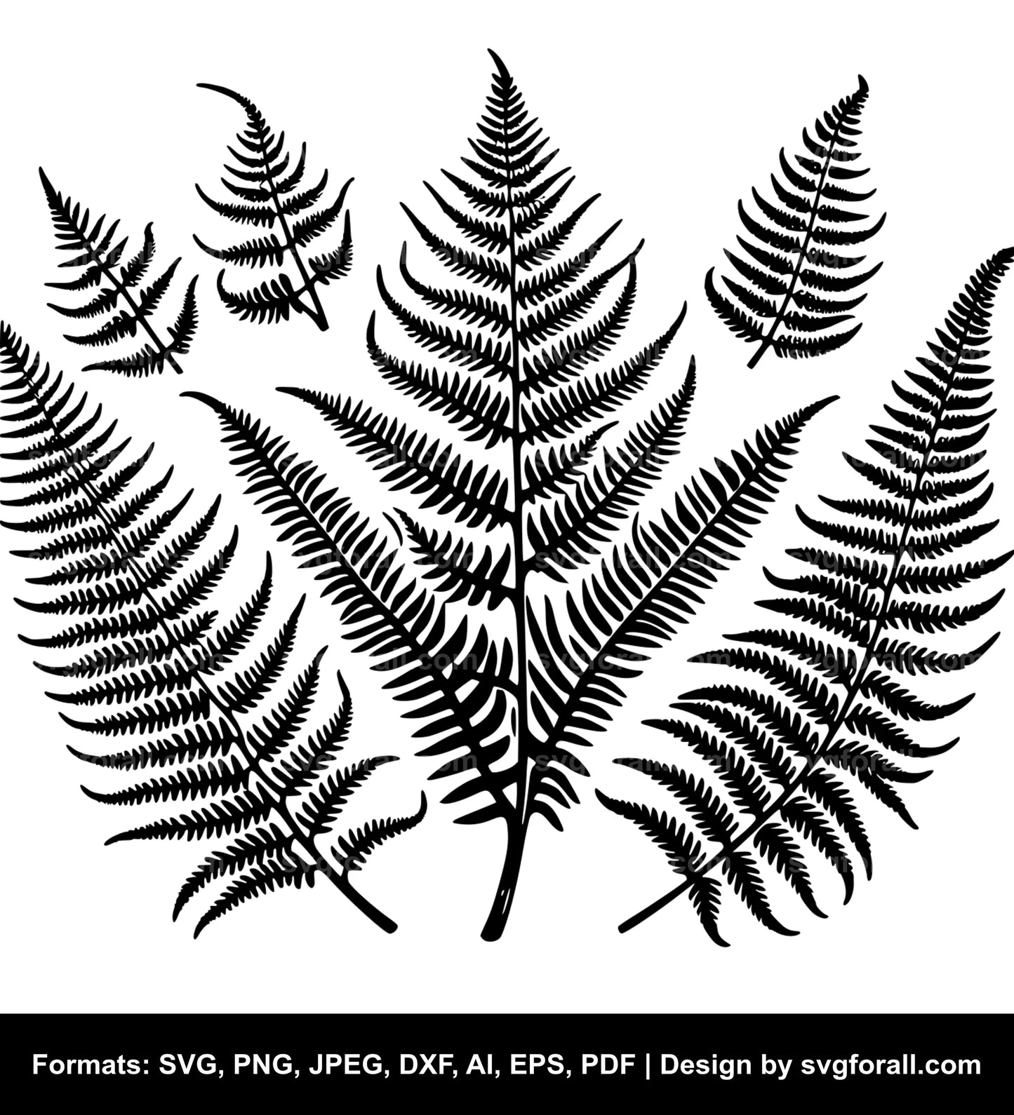 Fern SVG File