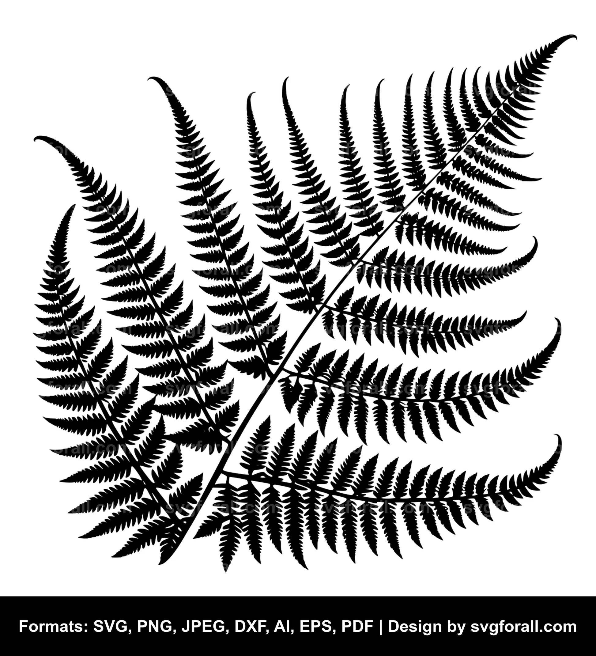 Fern SVG PNG