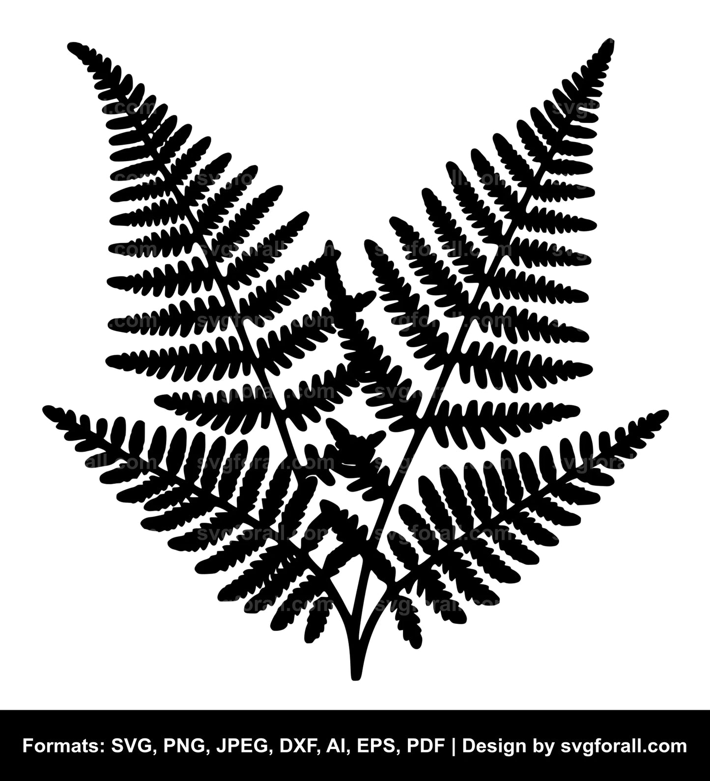 Fern SVG PNG Image