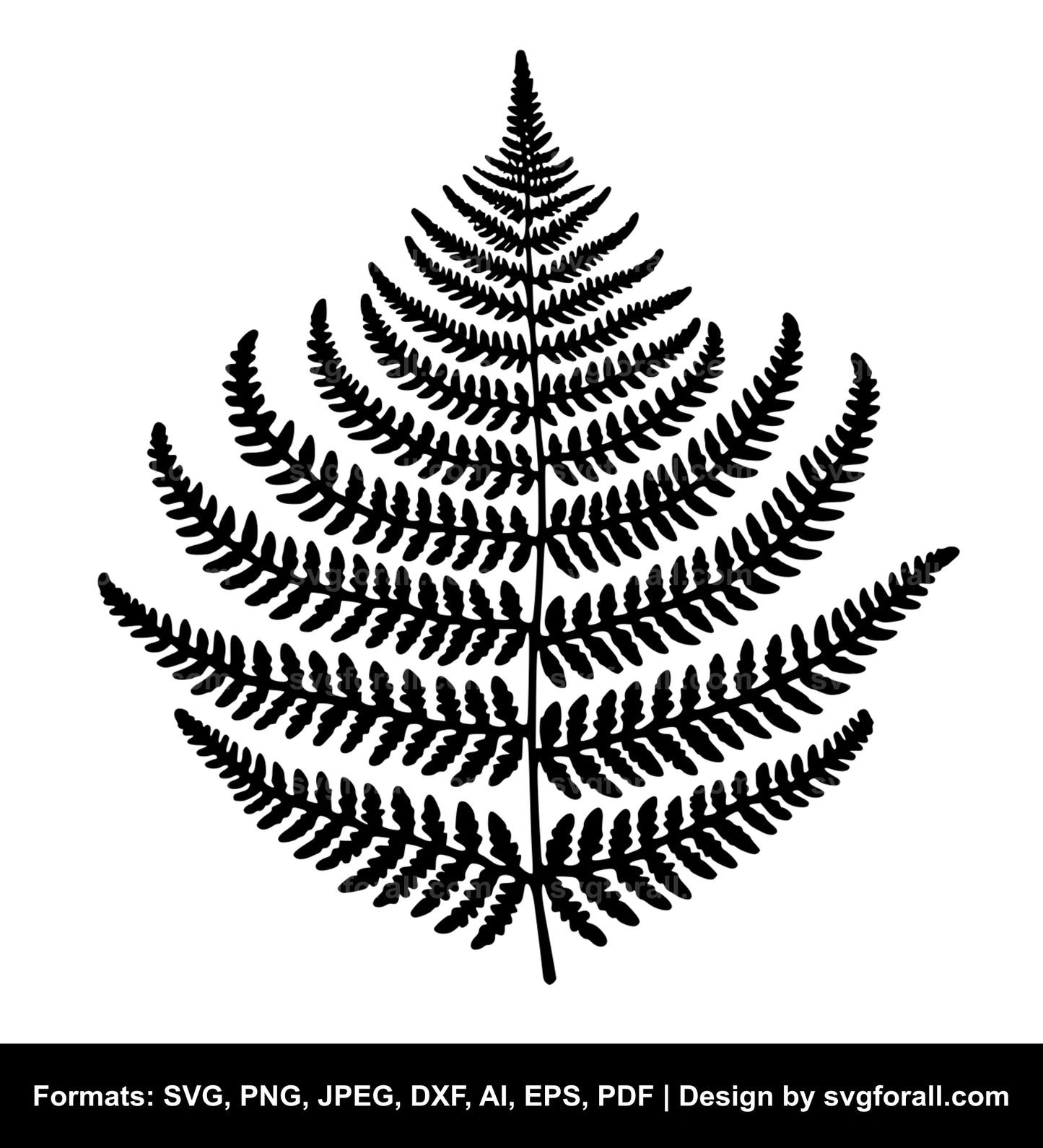 Fern SVG Vector