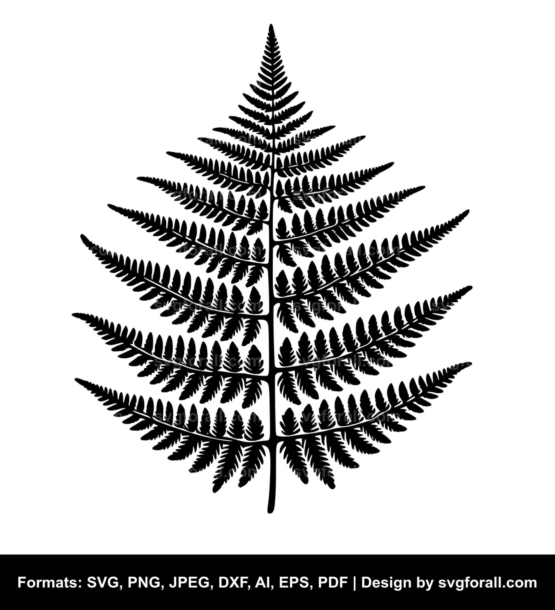 Fern Vector SVG