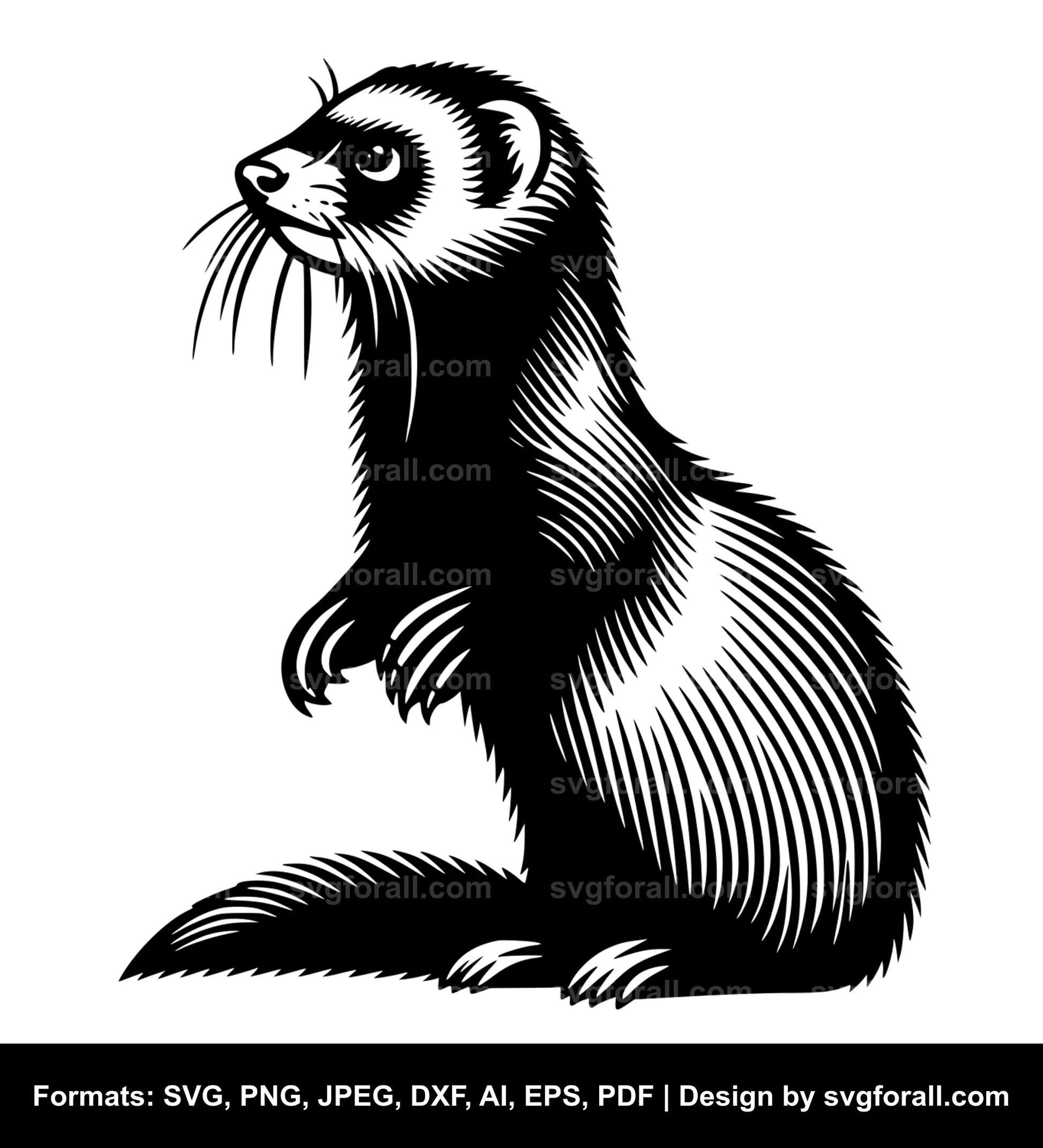 Ferret SVG Design