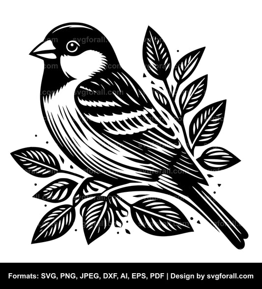 Finch SVG