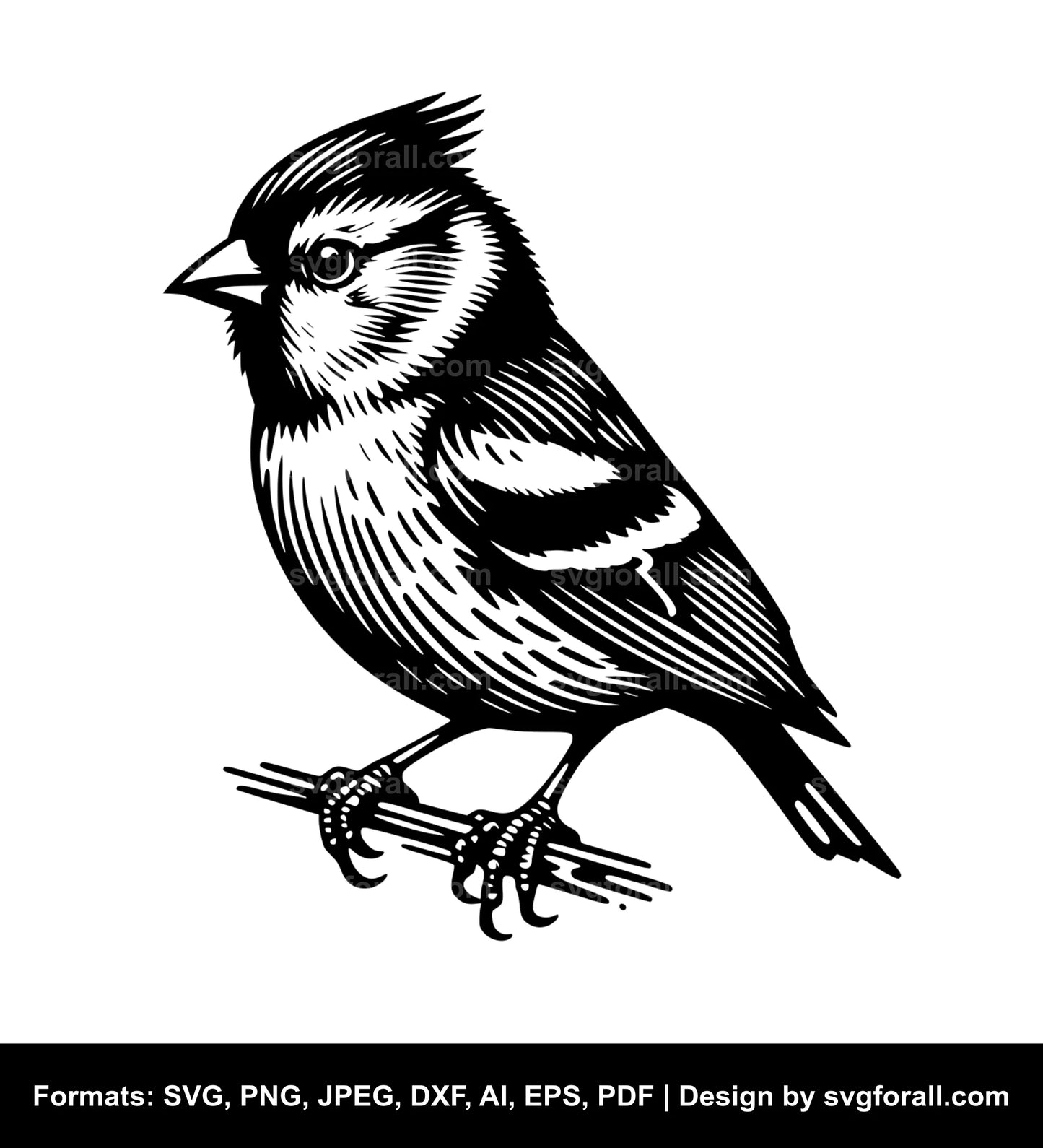 Finch SVG PNG