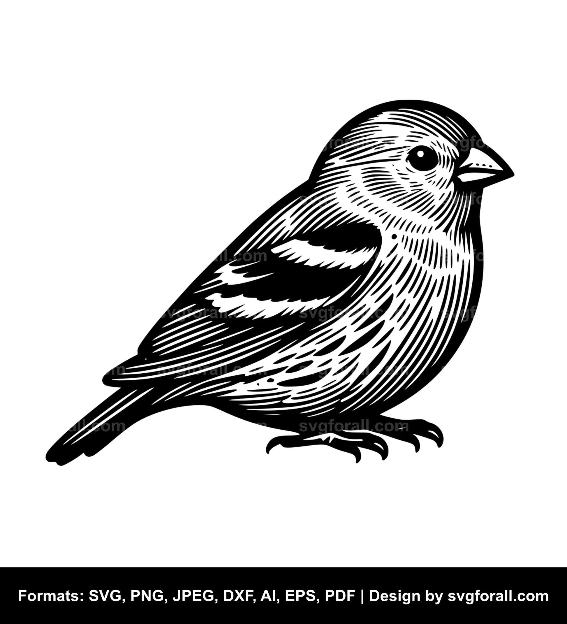 Finch SVG Vector