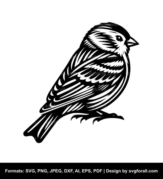 Finch Vector SVG