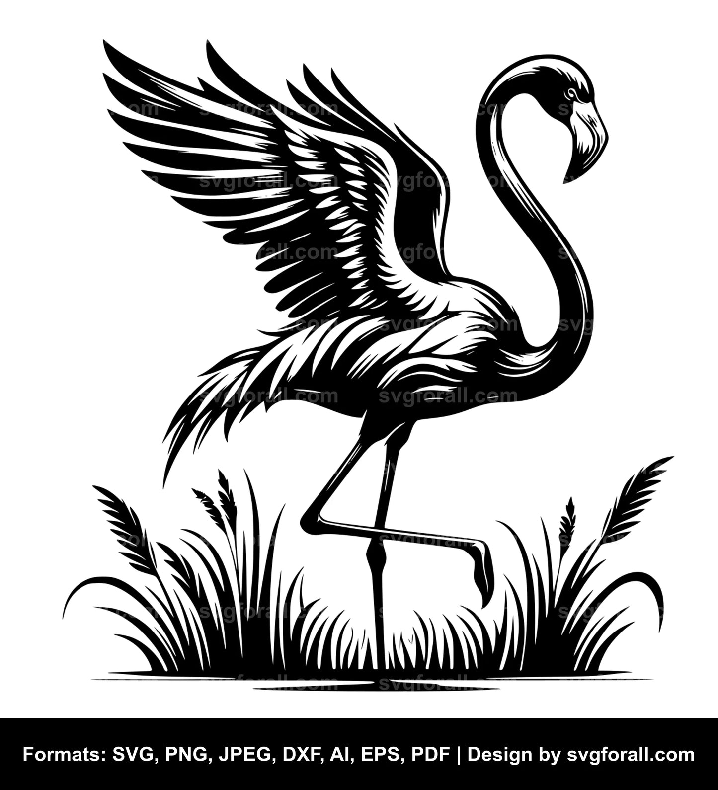 Flamingo SVG Design