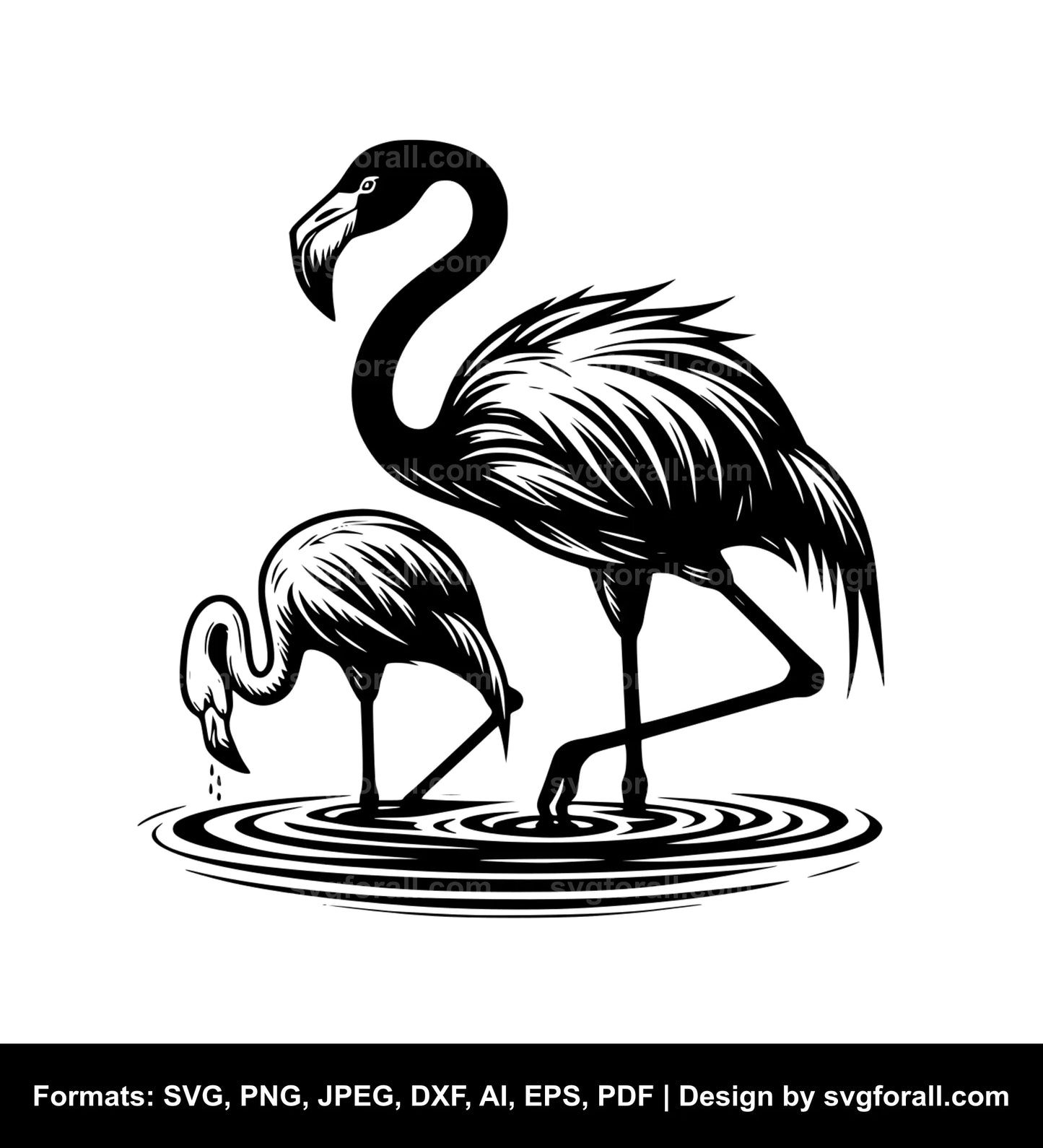 Flamingo SVG PNG