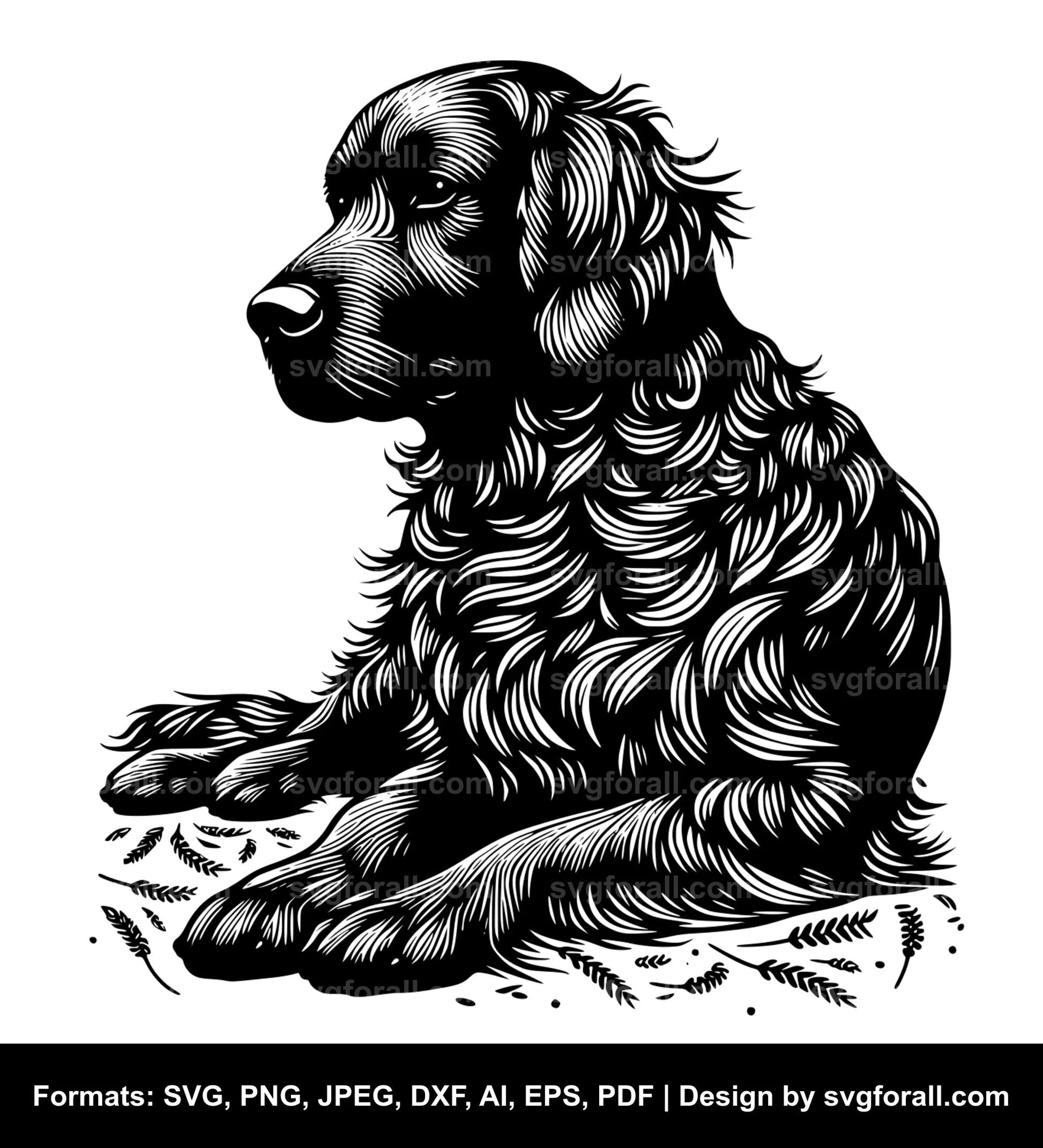 Flat Coated Retriever Dog SVG