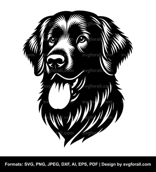 Flat Coated Retriever Dog Vector SVG