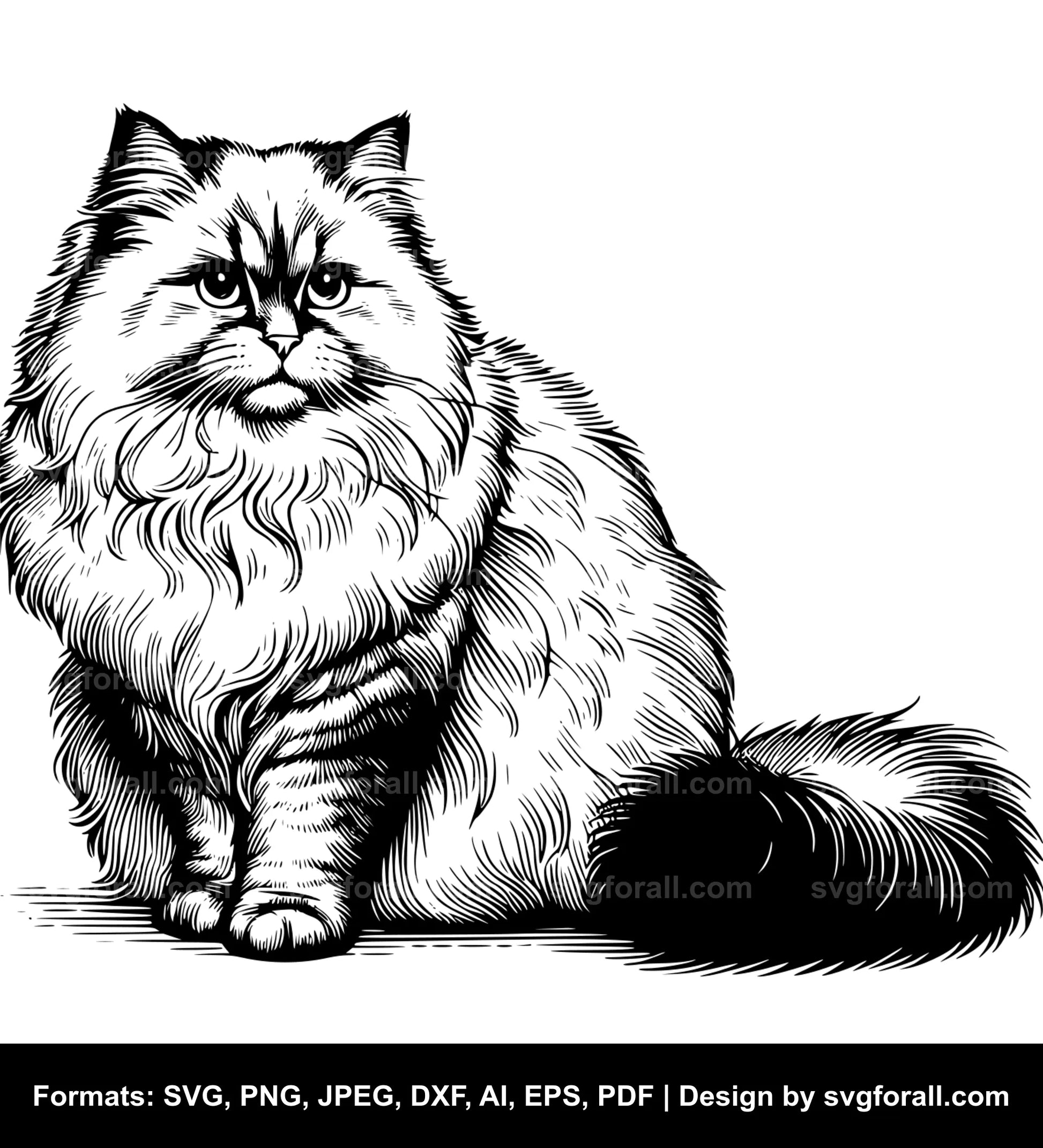 Fluffy Cat SVG Download