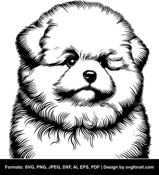 Fluffy Dog SVG PNG