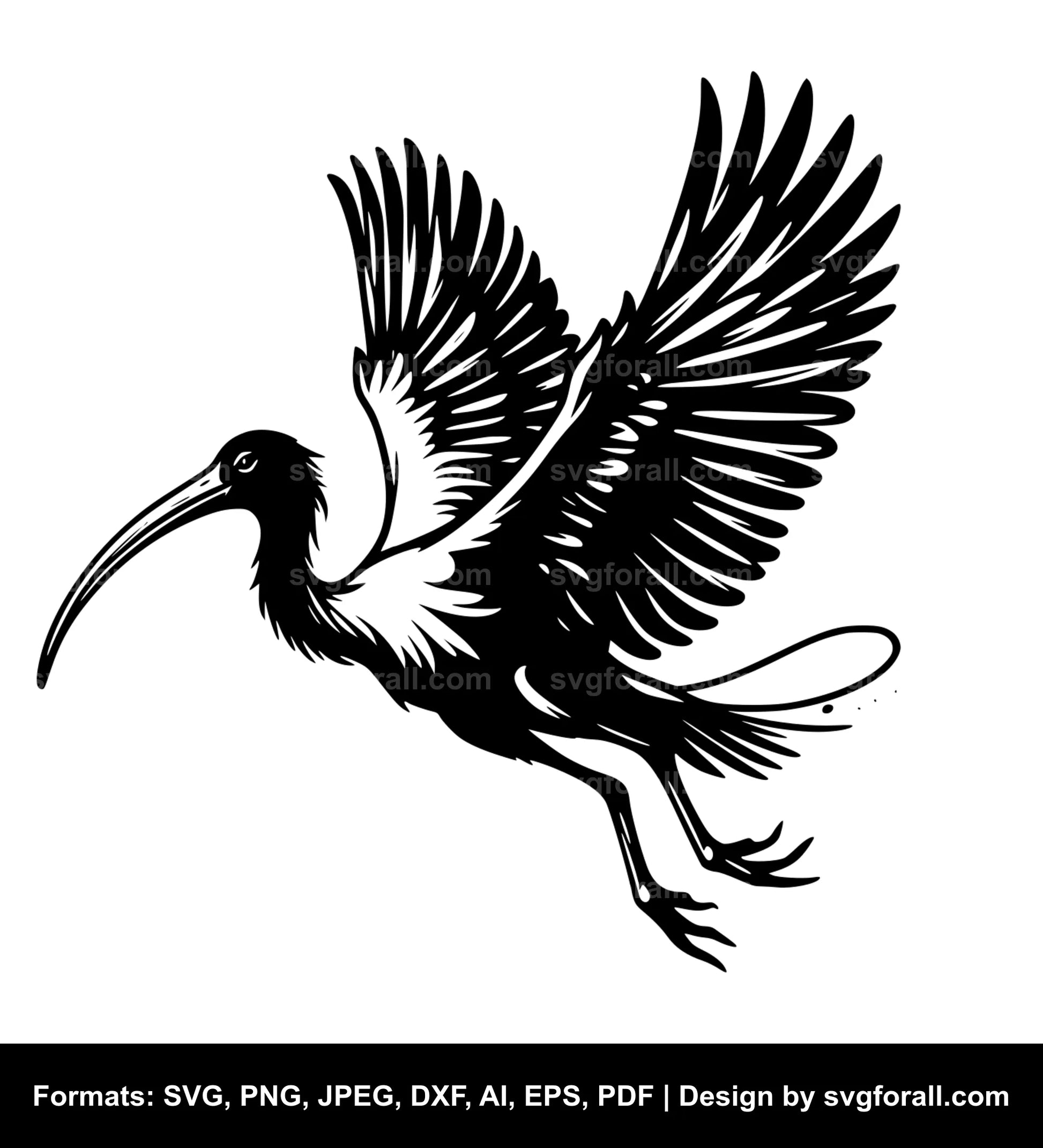 Flying Ibis SVG PNG