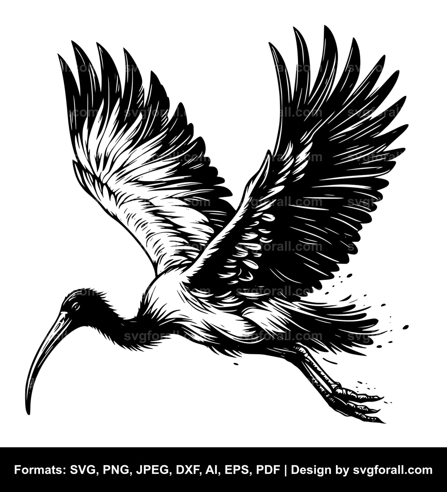 Flying Ibis SVG Vector