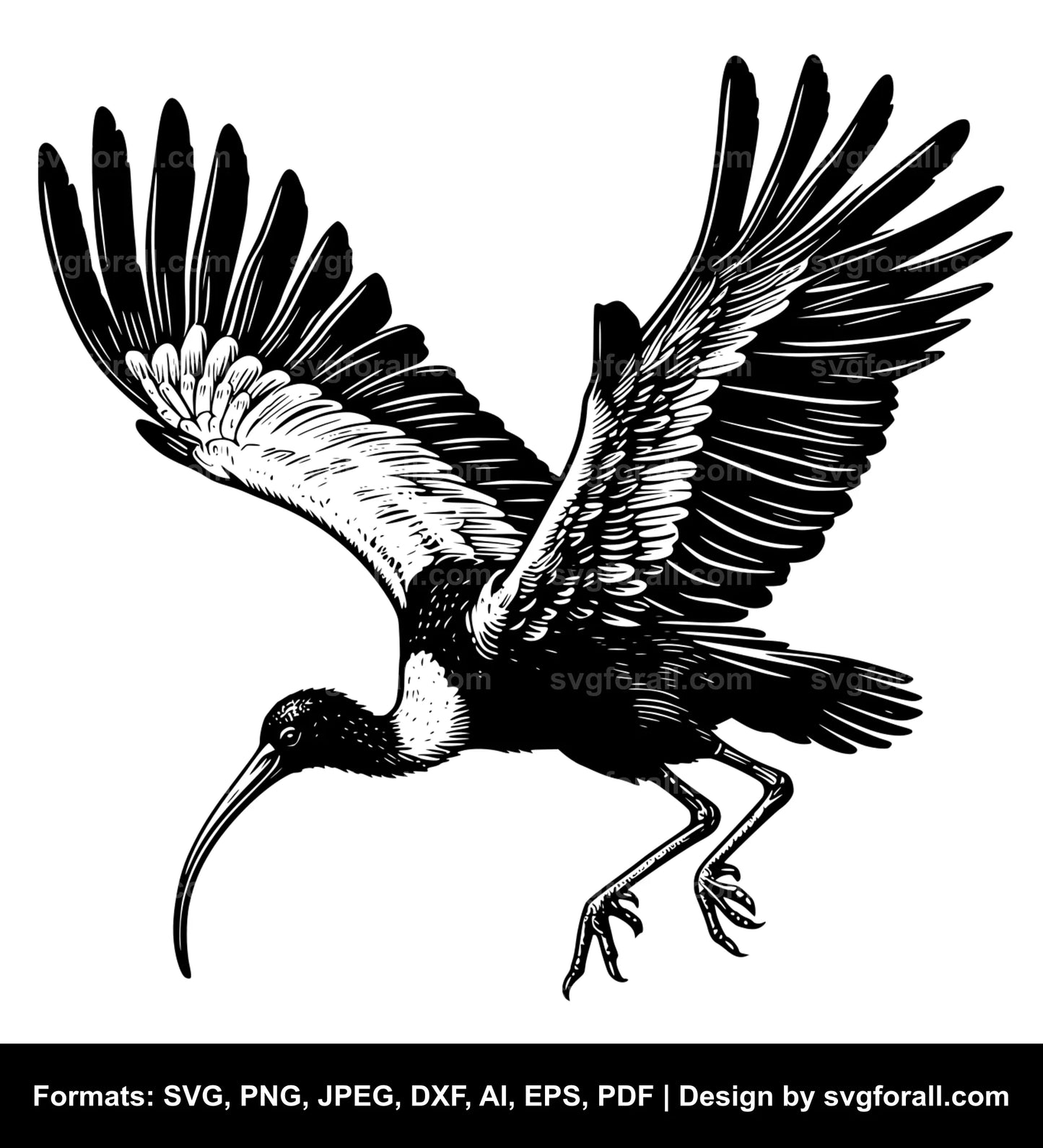 Flying Ibis Vector SVG