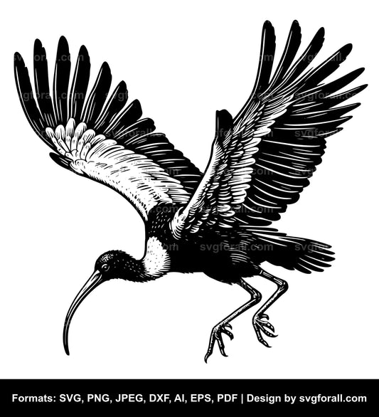 Flying Ibis Vector SVG