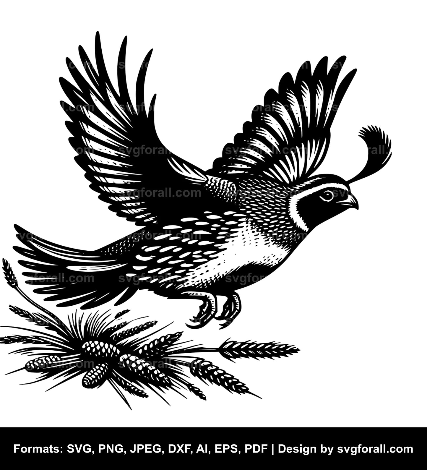 Flying Quail SVG