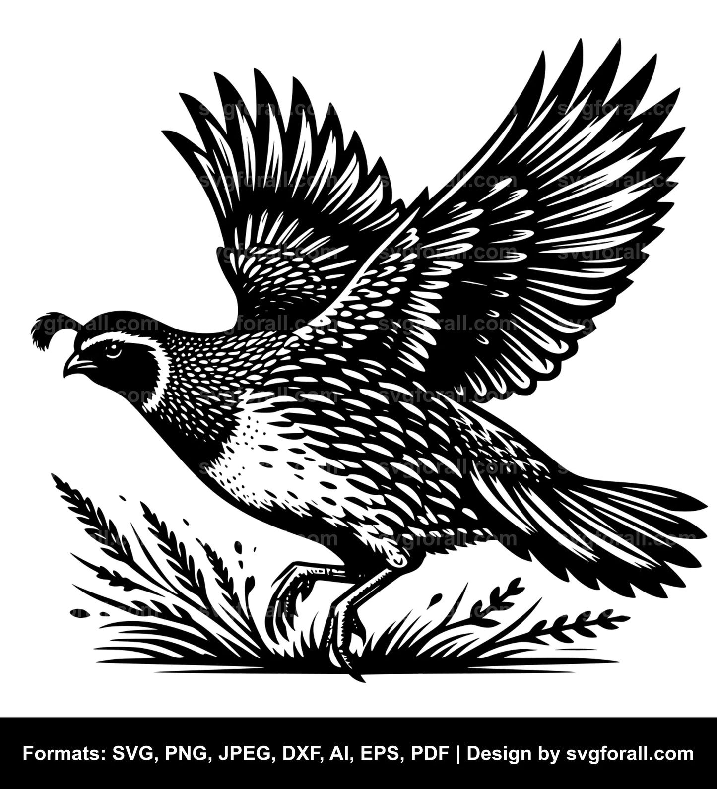 Flying Quail SVG Design