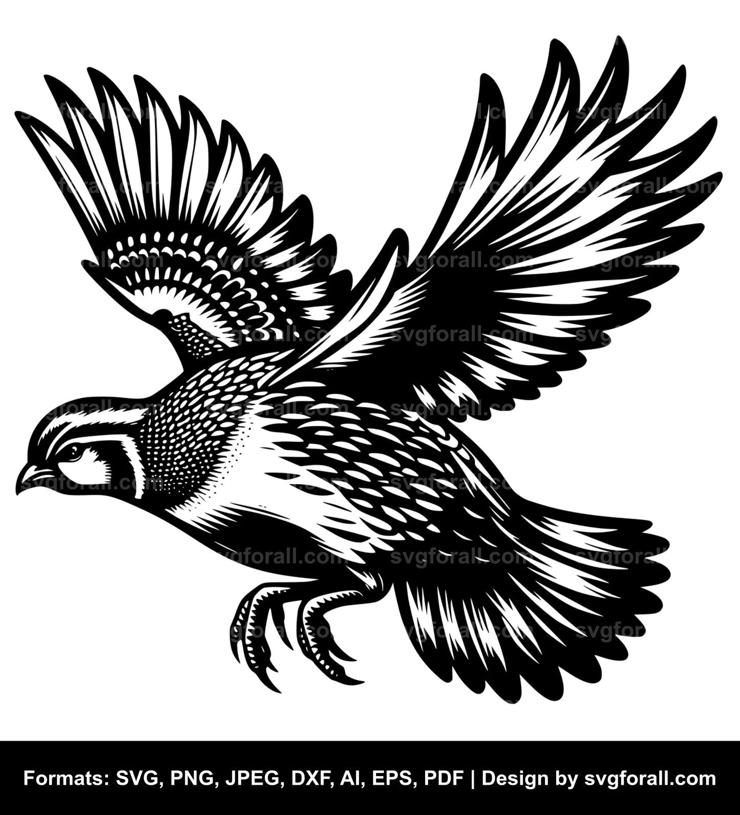 Flying Quail SVG File