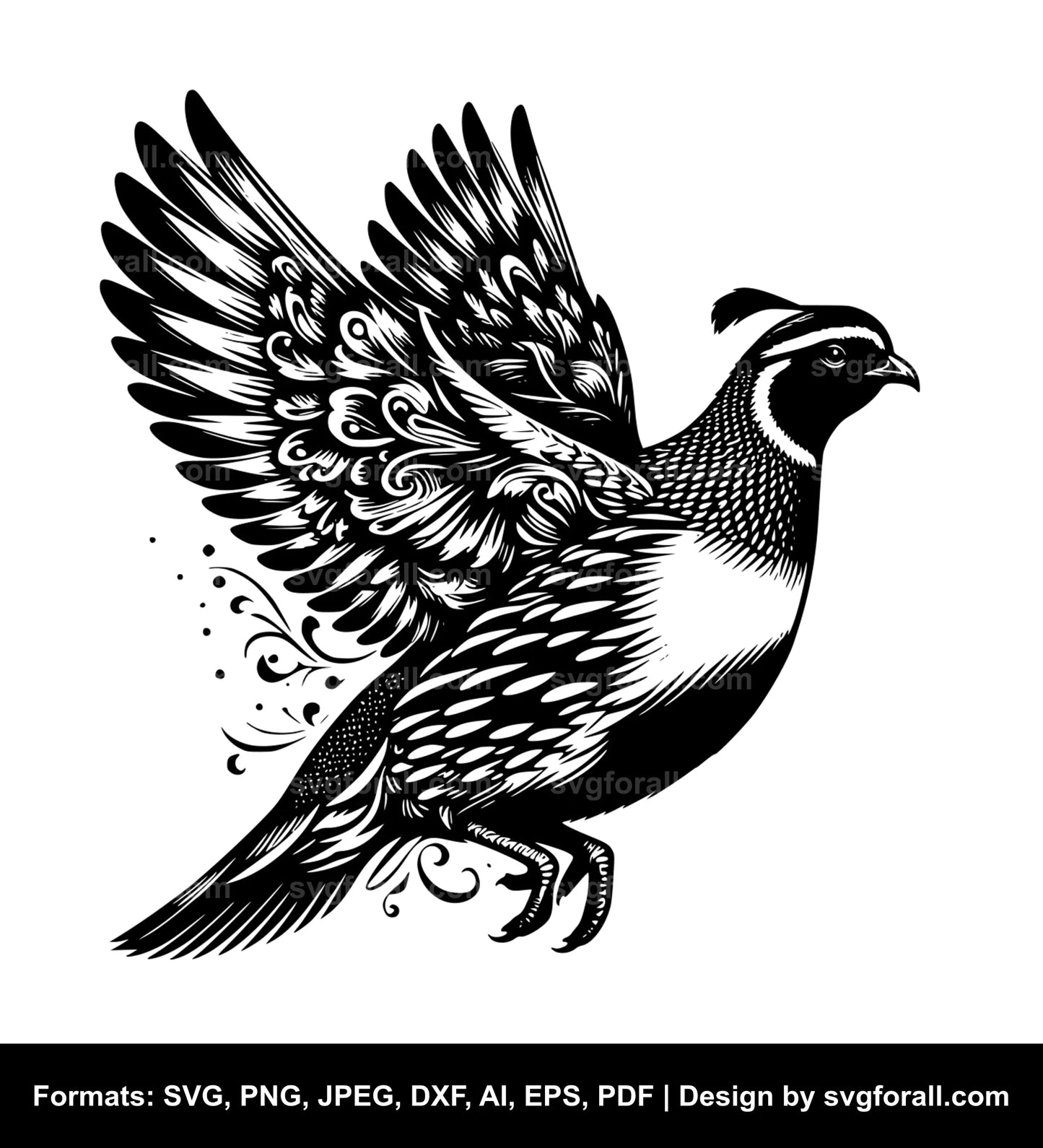 Flying Quail Vector SVG